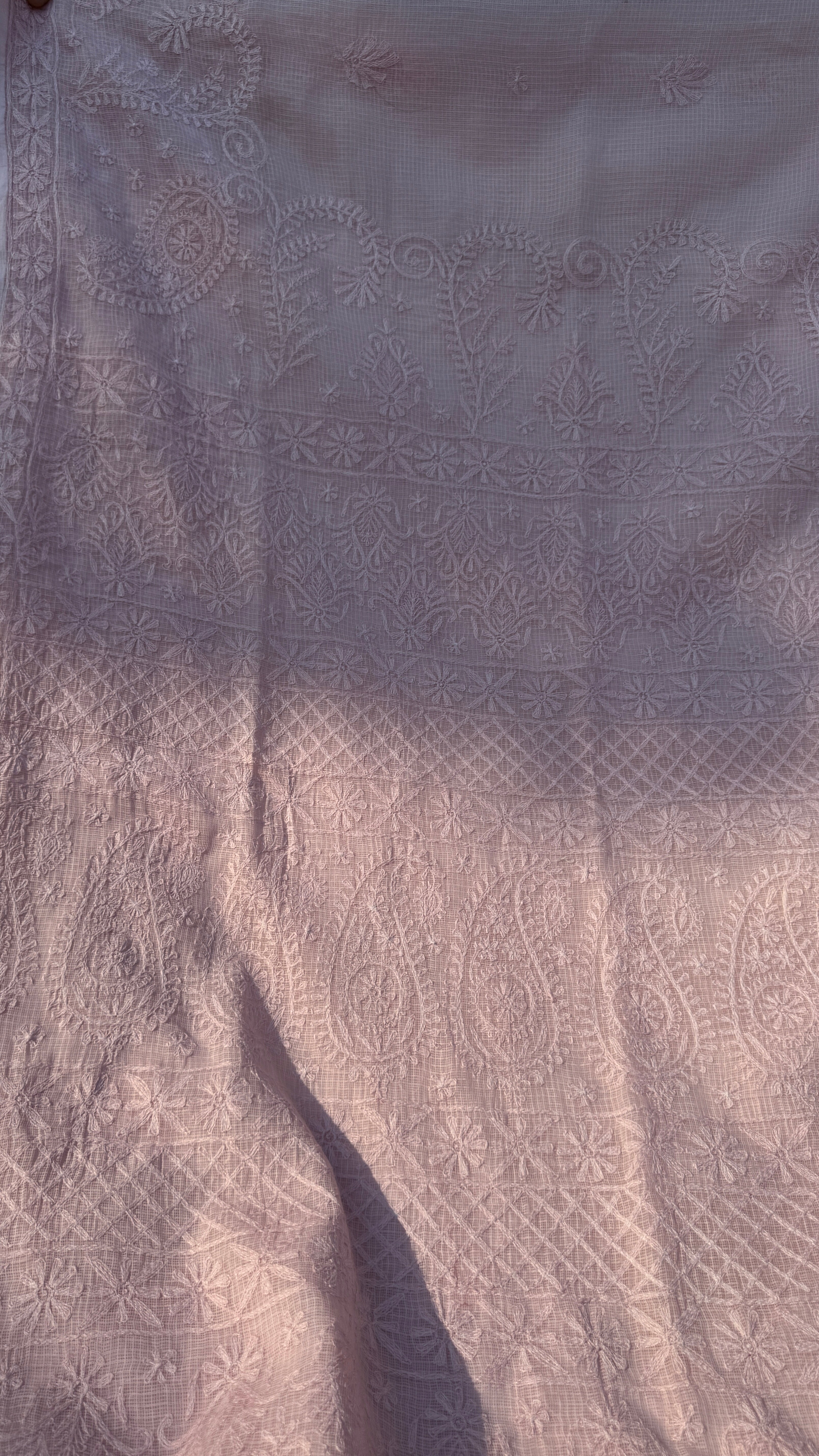 Kota Chikankari saree in Pale Pink