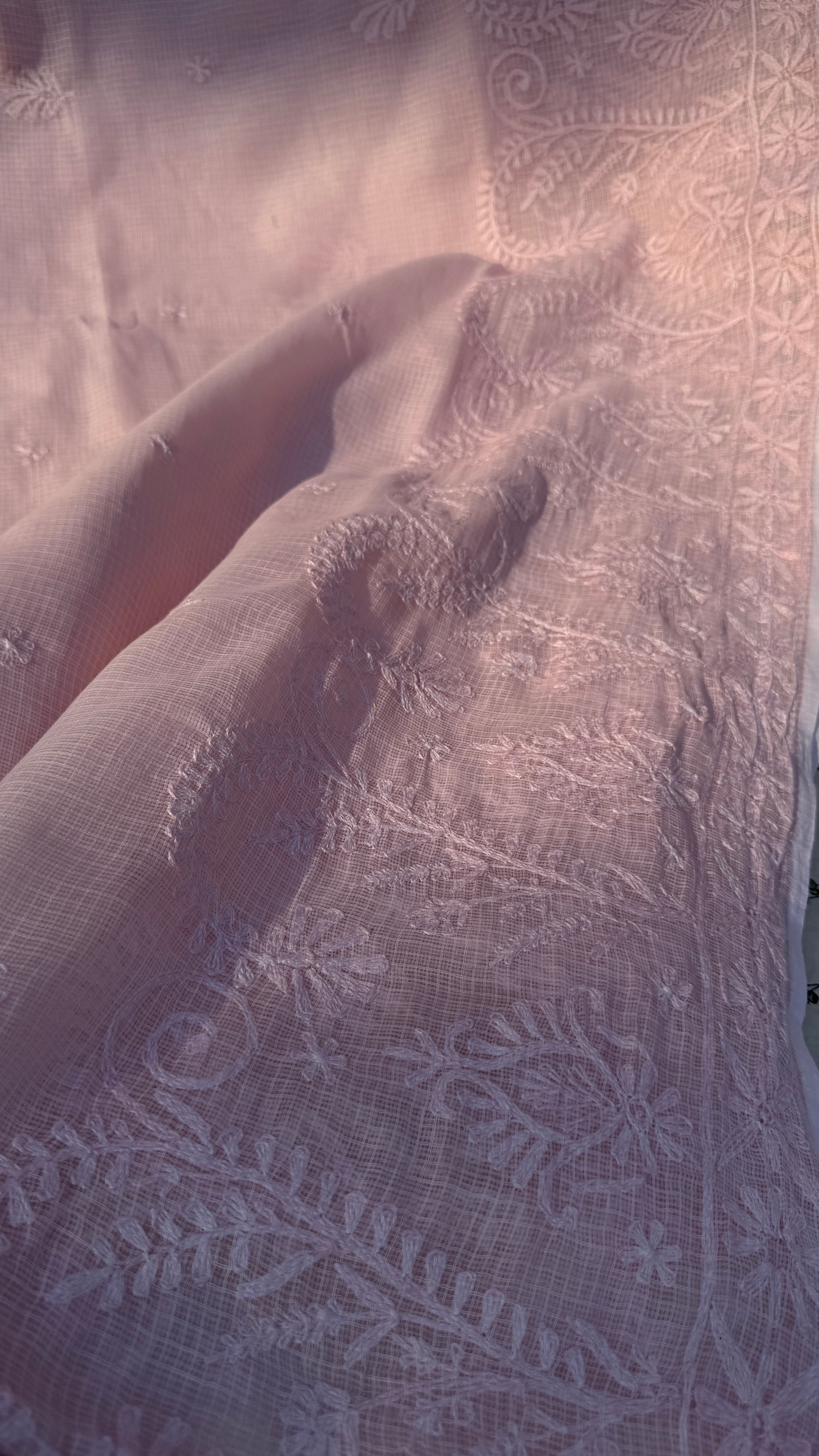 Kota Chikankari saree in Pale Pink