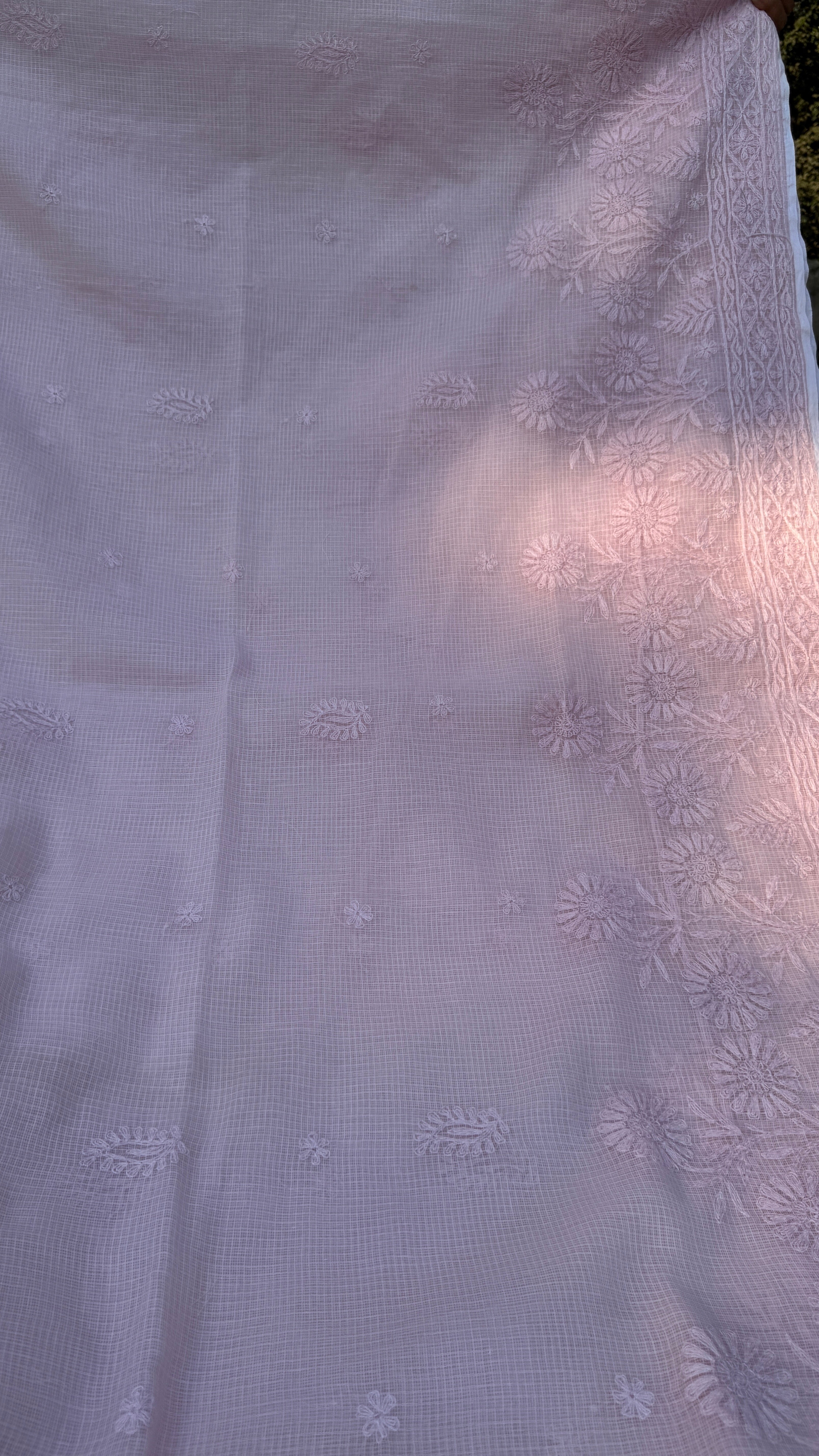 Kota Chikankari saree in Pink