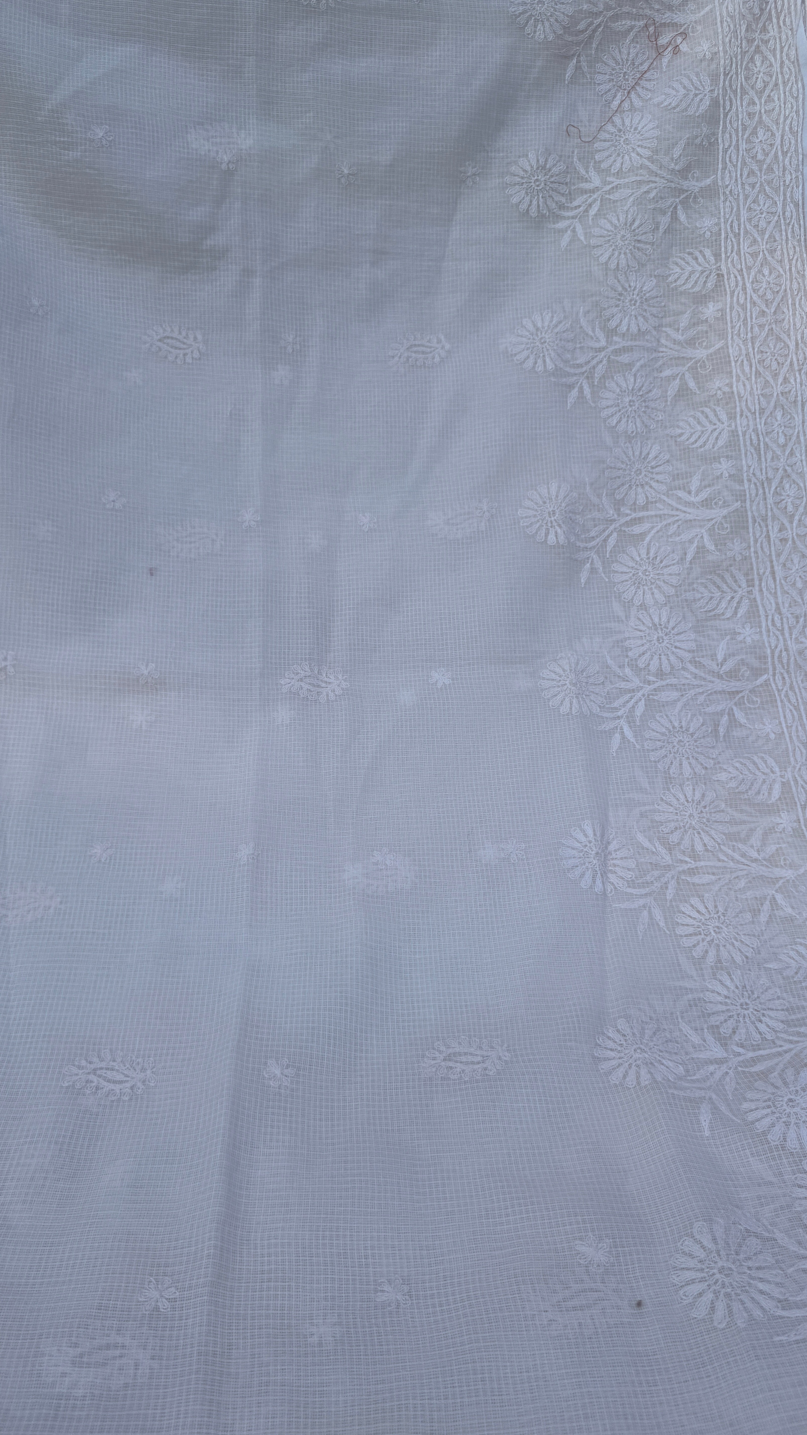 Kota Chikankari saree in Pale Pink