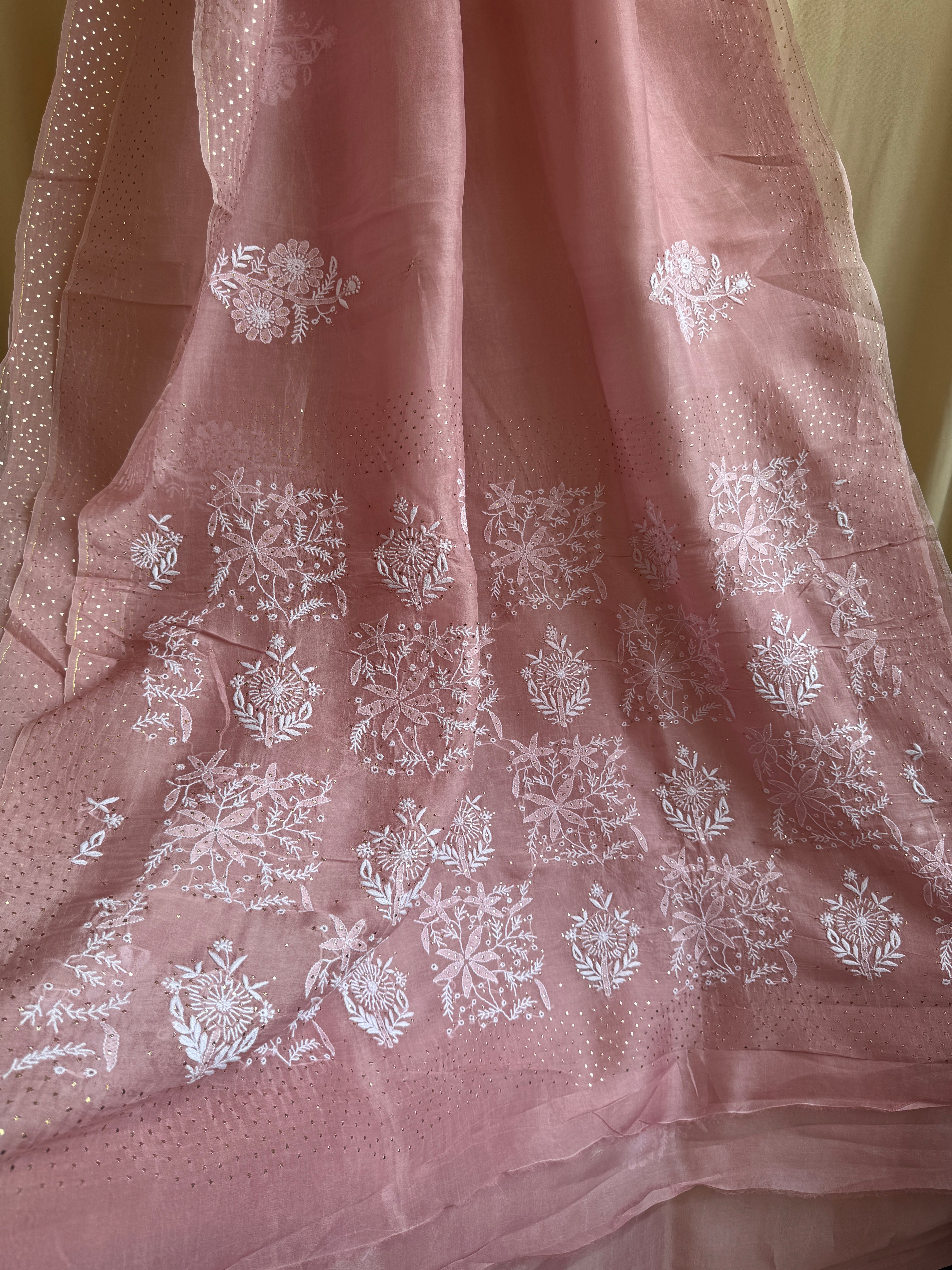 Pure organza Chikankari saree in Rosewood with Mukaish work