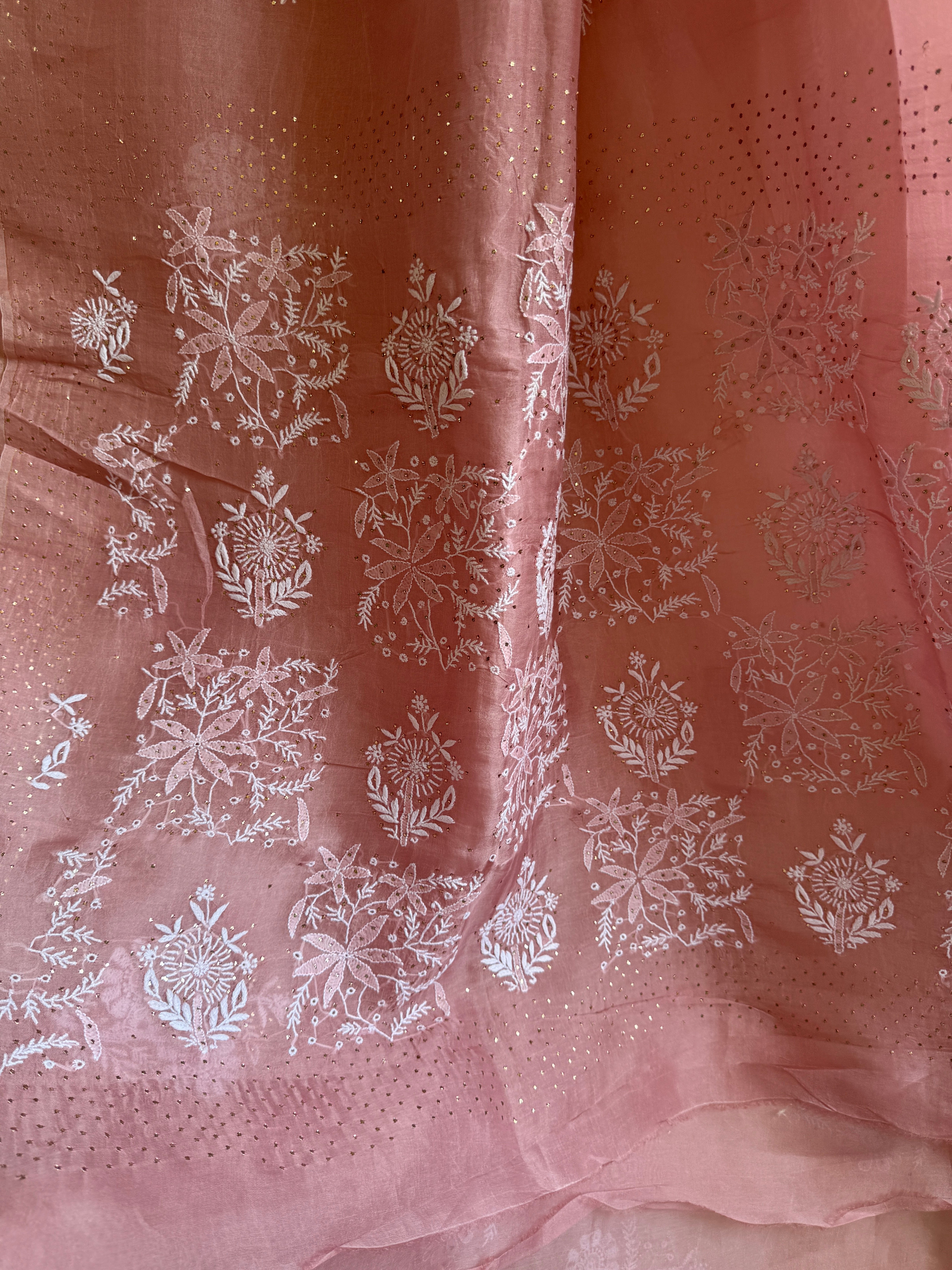 Pure organza Chikankari saree in Rosewood with Mukaish work