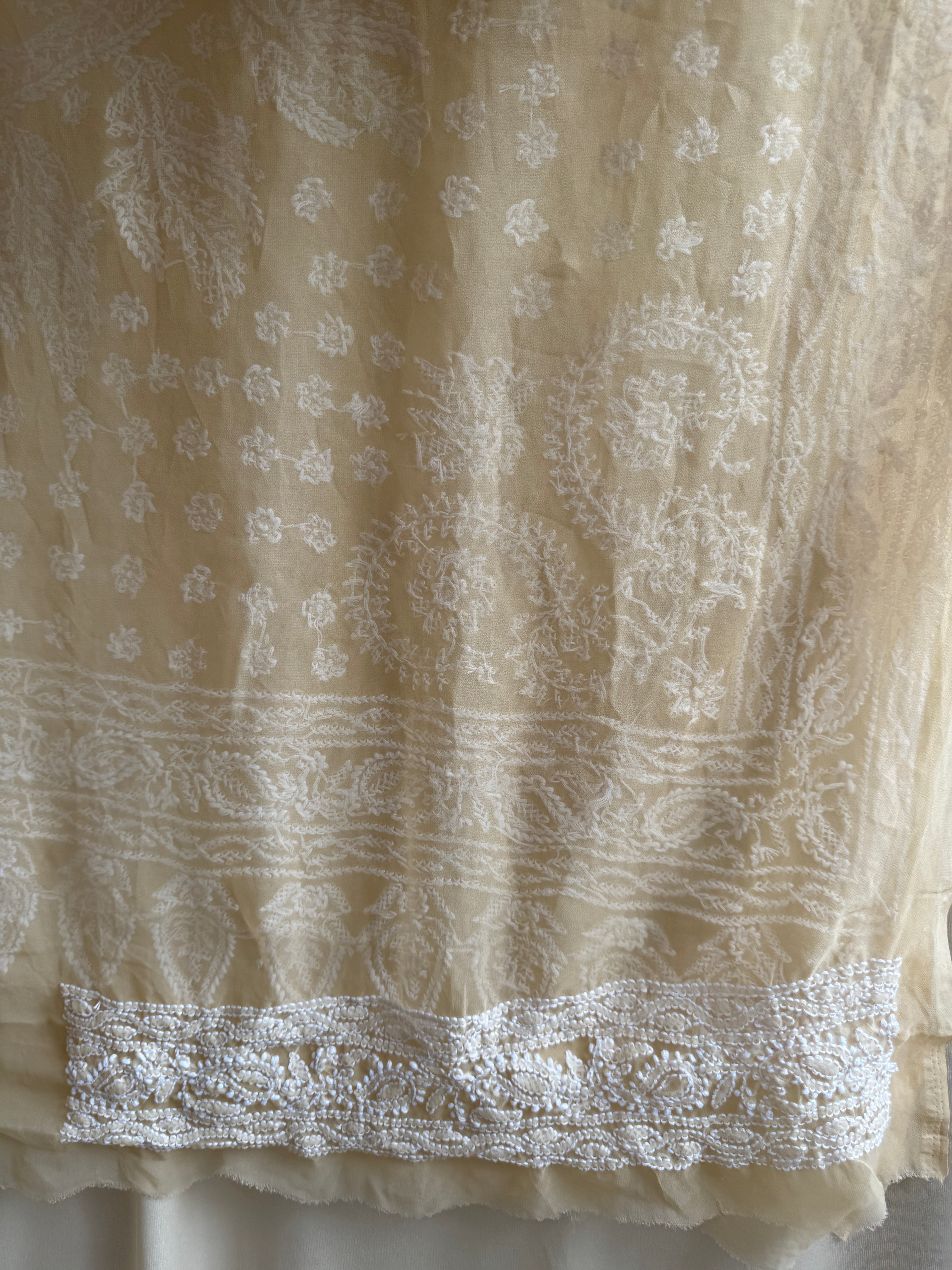 Georgette Chikankari saree in Beige ARIAA CHIKANKARI