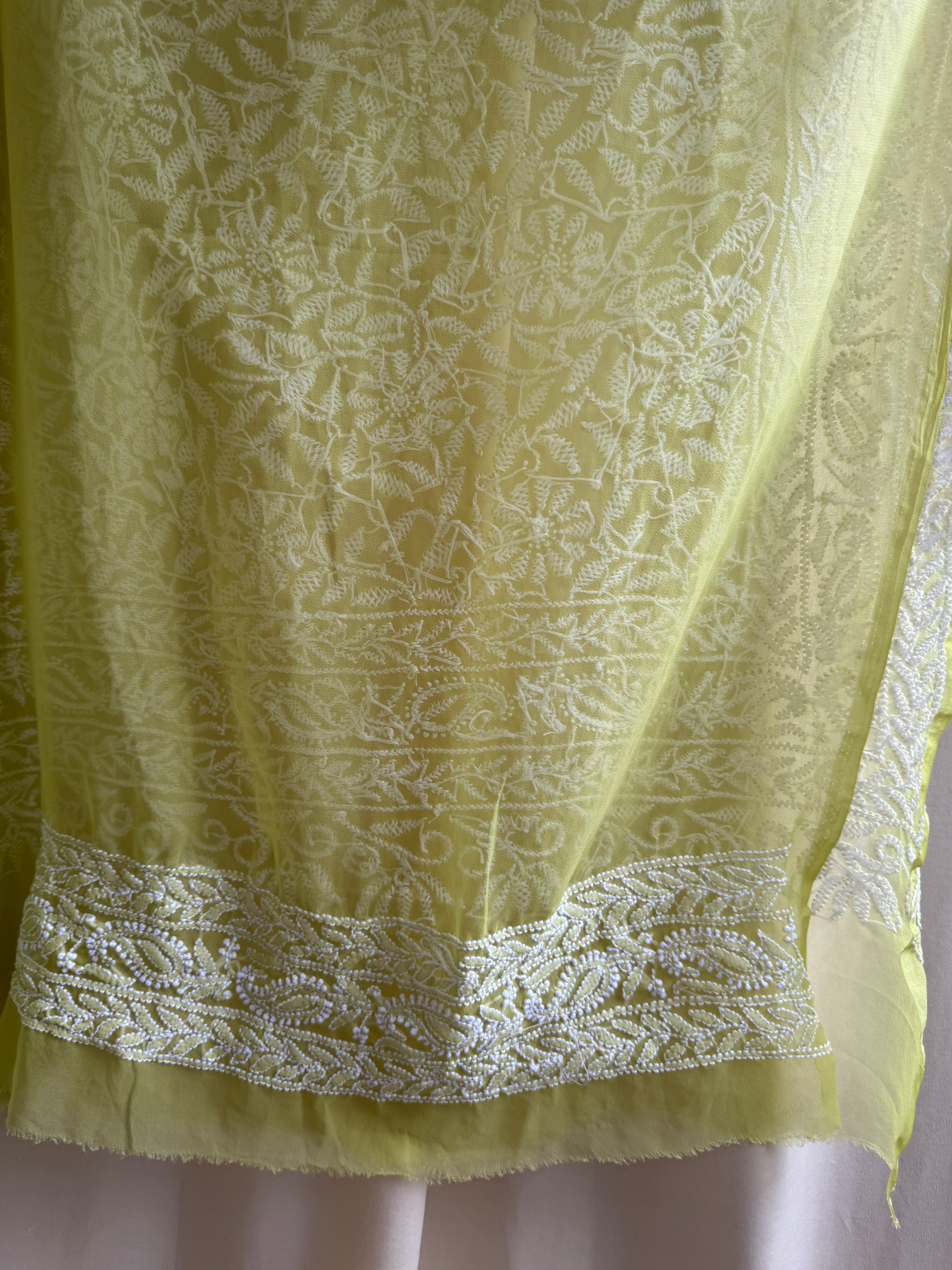 Georgette Chikankari saree in Green ARIAA CHIKANKARI