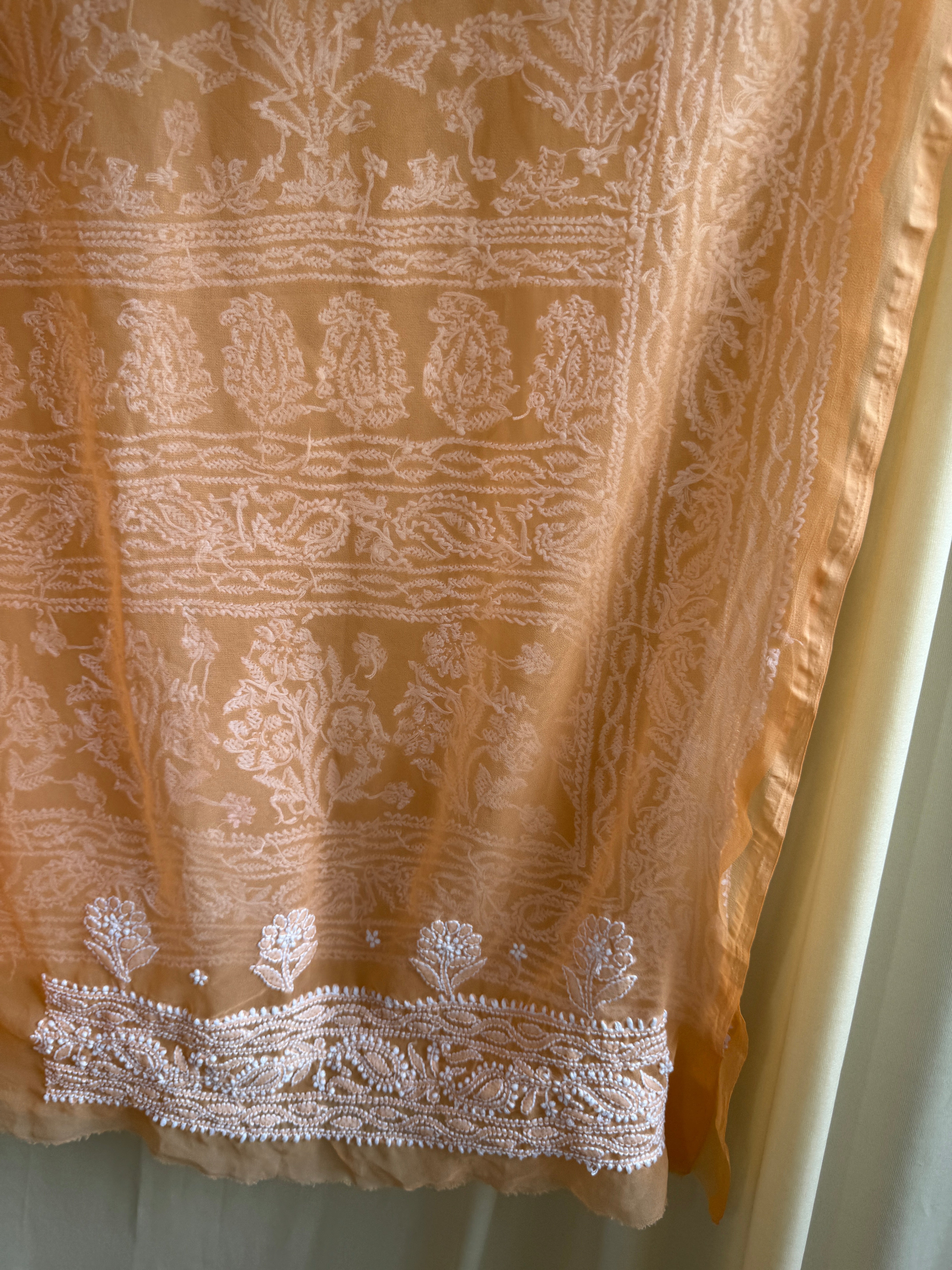 Georgette Chikankari saree in Sunset Orange ARIAA CHIKANKARI
