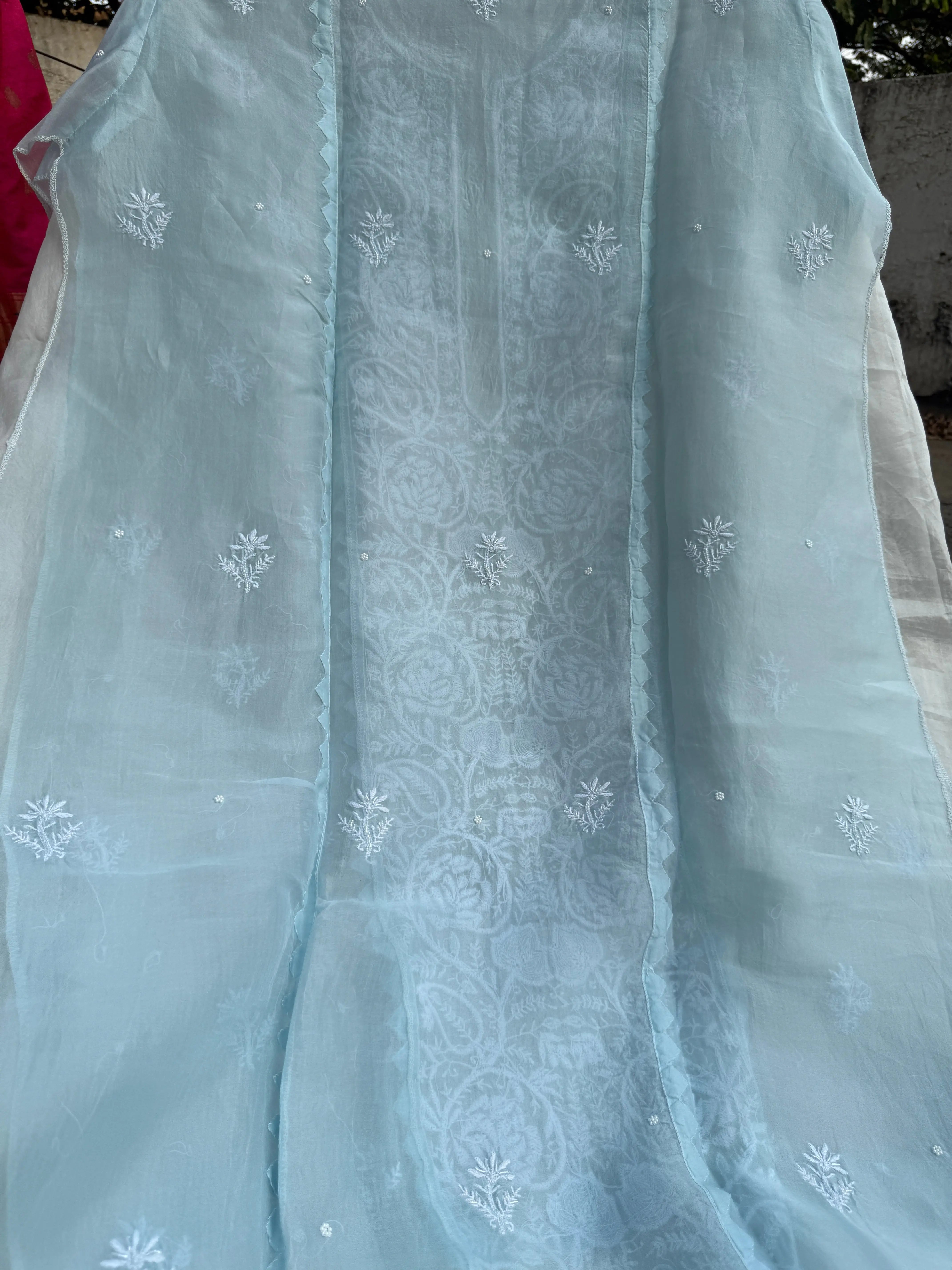 Organza Chikankari Length with Dupatta (Pearl Work) - Baby Blue ARIAA CHIKANKARI