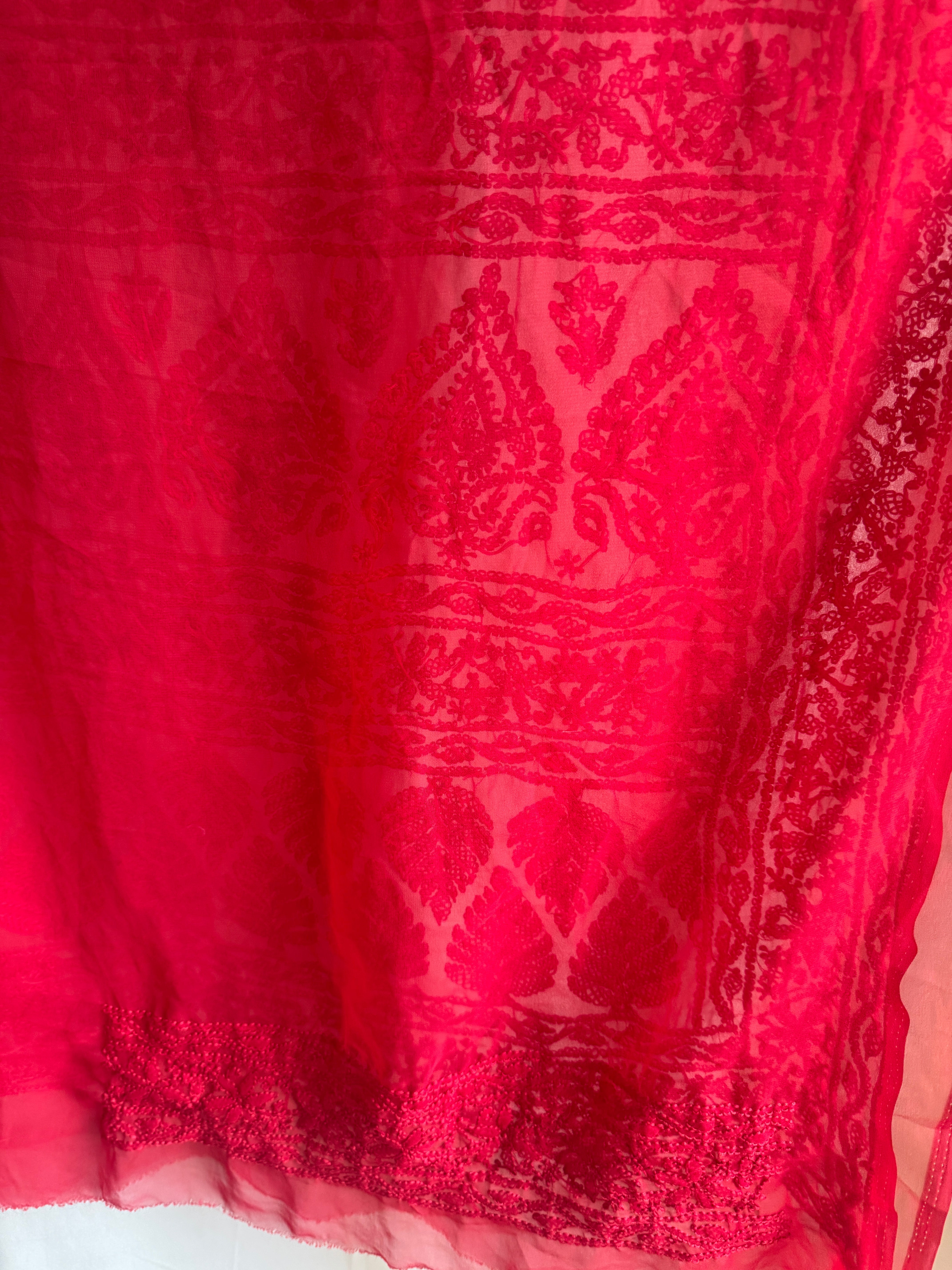 Georgette Chikankari saree in Red ARIAA CHIKANKARI