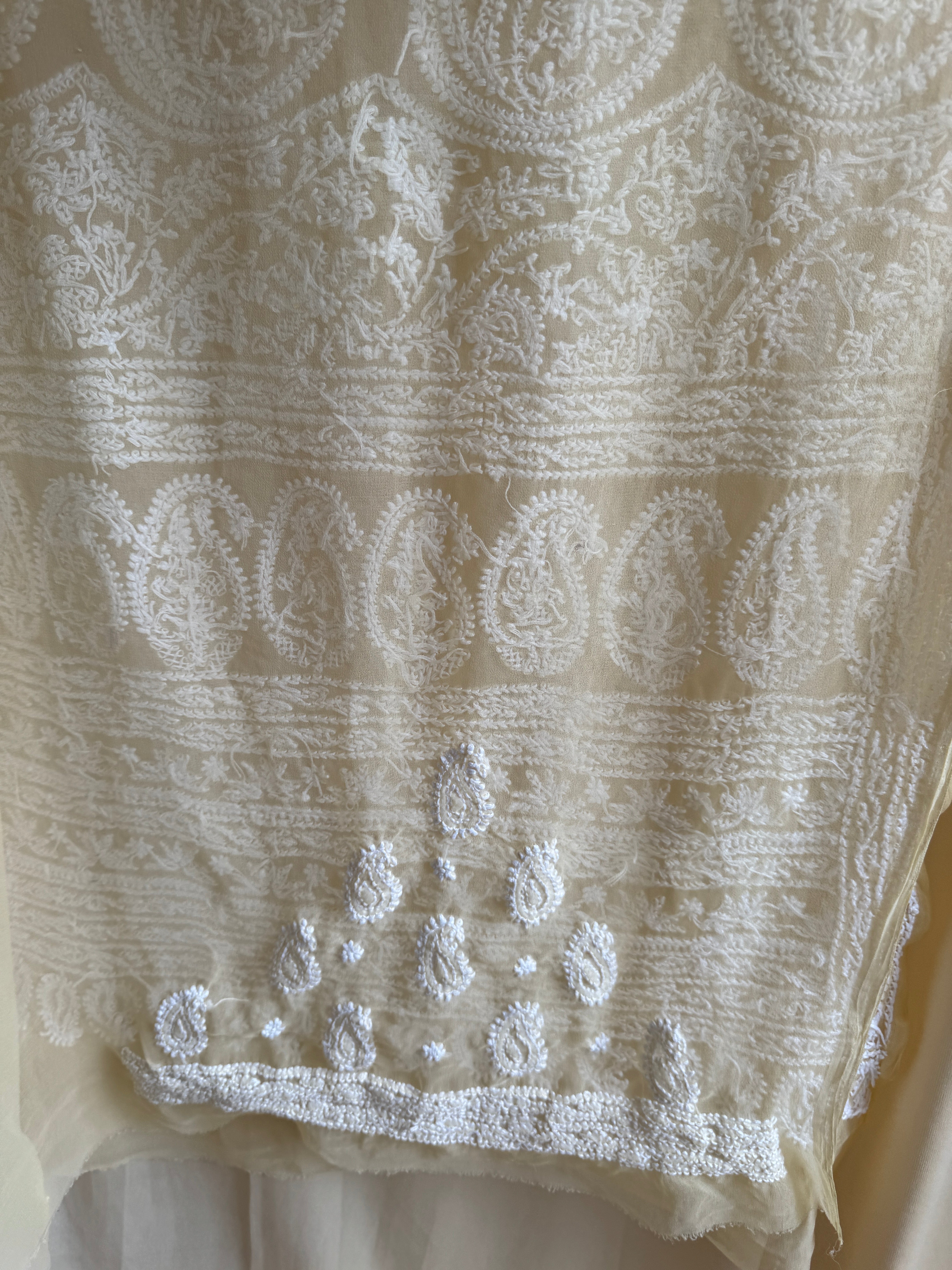 Georgette Chikankari saree in Cream ARIAA CHIKANKARI
