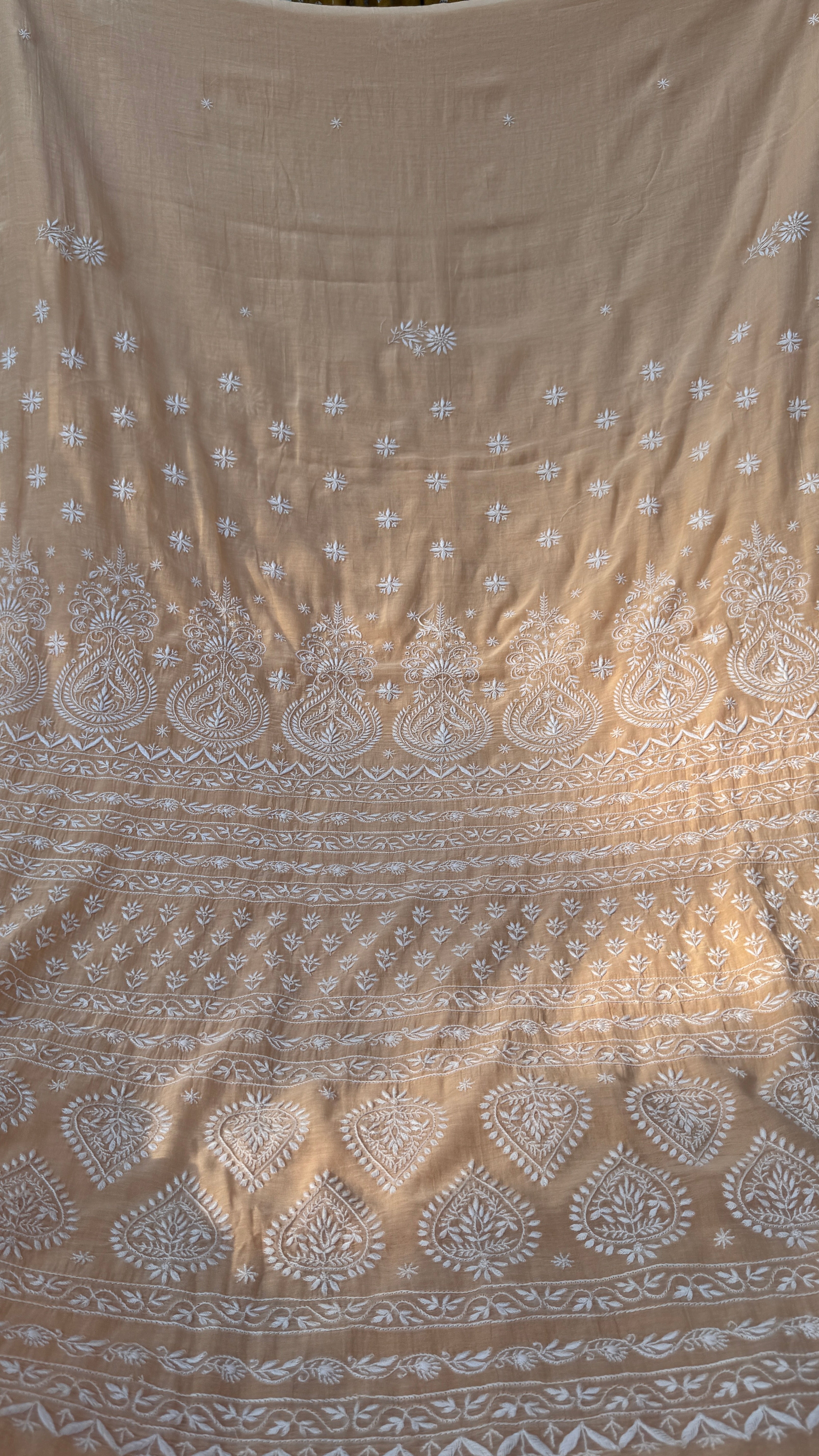 Pure Mul Chanderi Chikankari saree in Beige