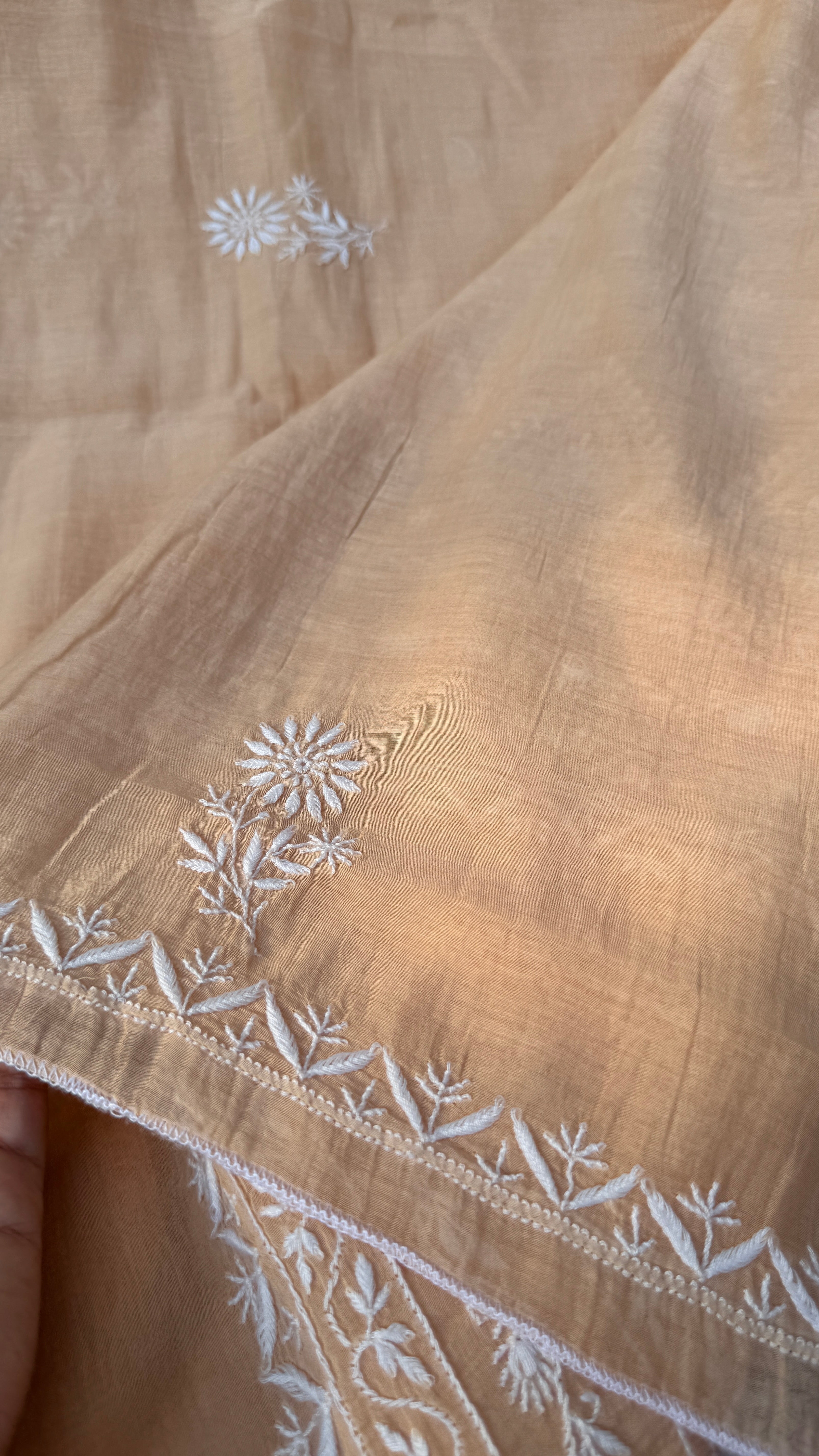 Pure Mul Chanderi Chikankari saree in Beige