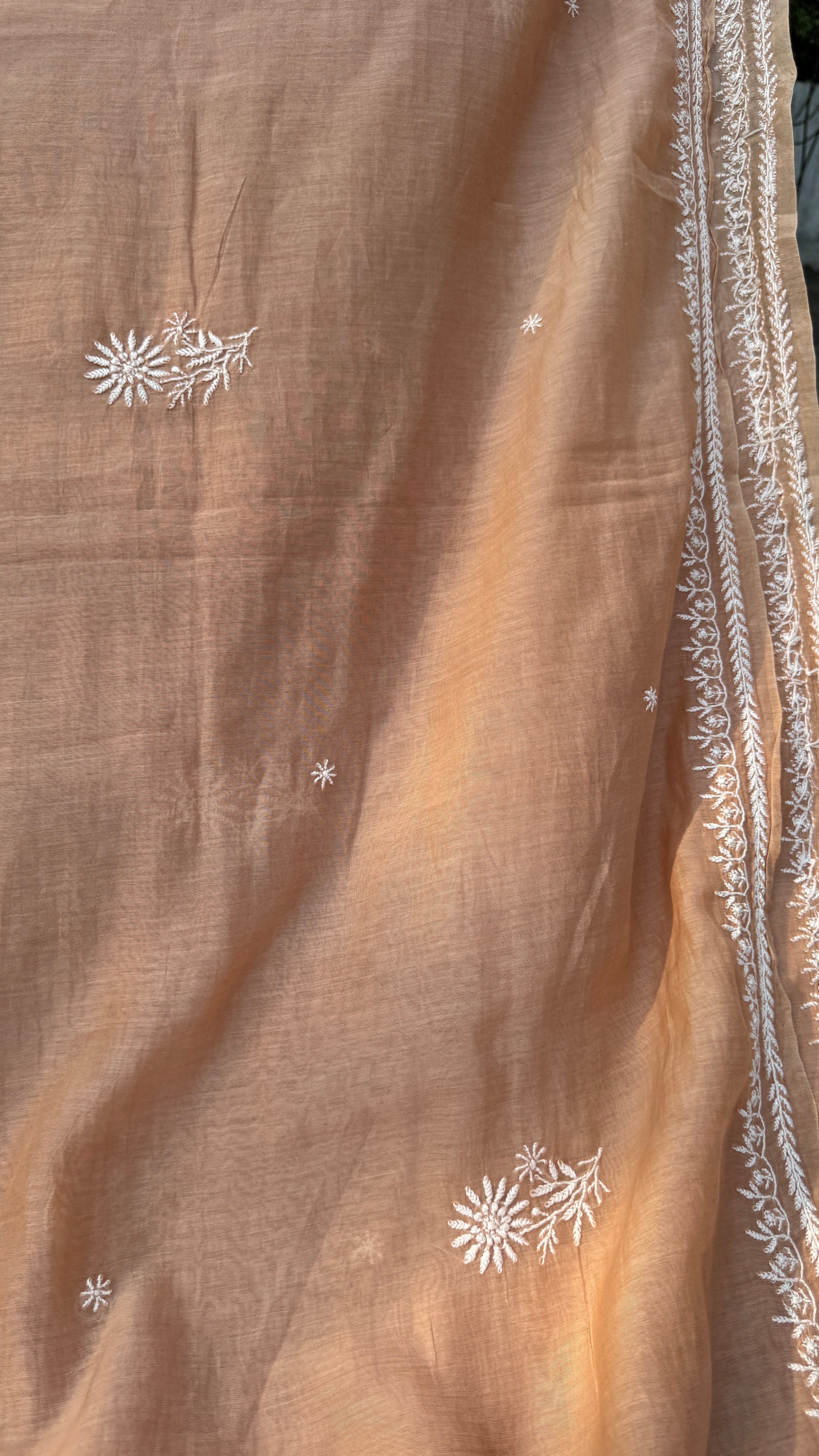 Pure Mul Chanderi Chikankari saree in Brown
