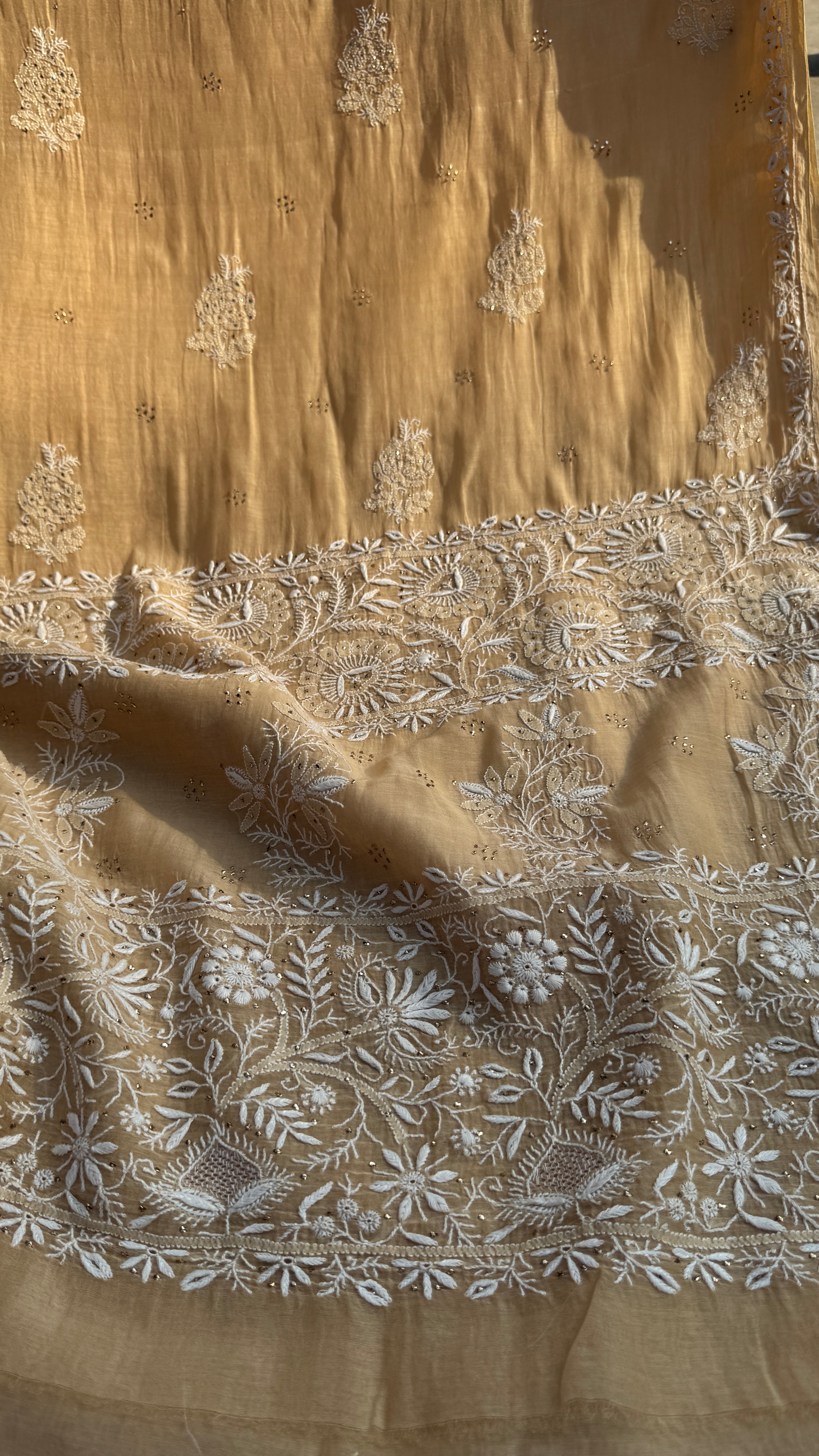Pure Mul Chanderi Chikankari saree in Beige with Mukaish work