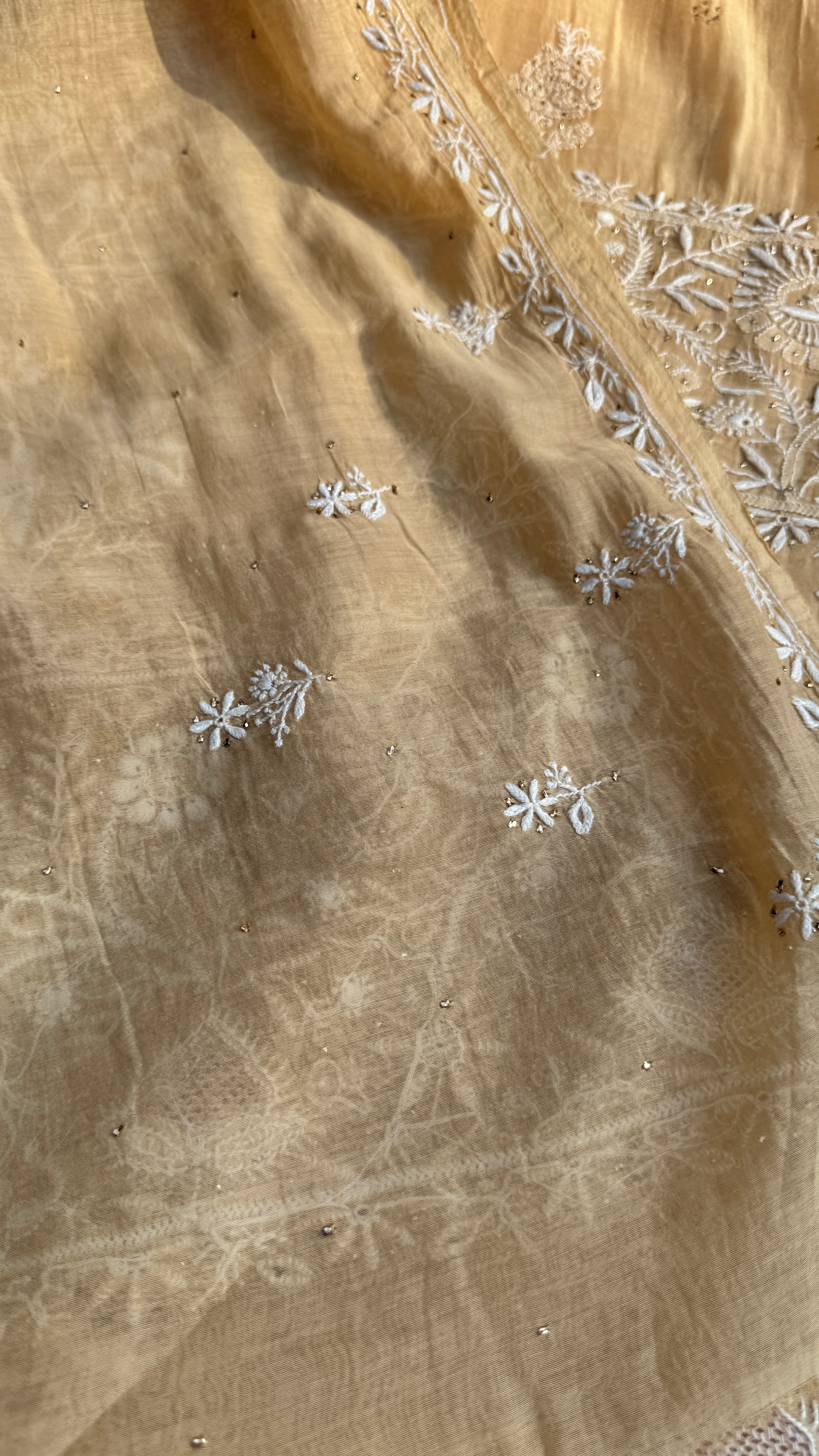 Pure Mul Chanderi Chikankari saree in Beige with Mukaish work