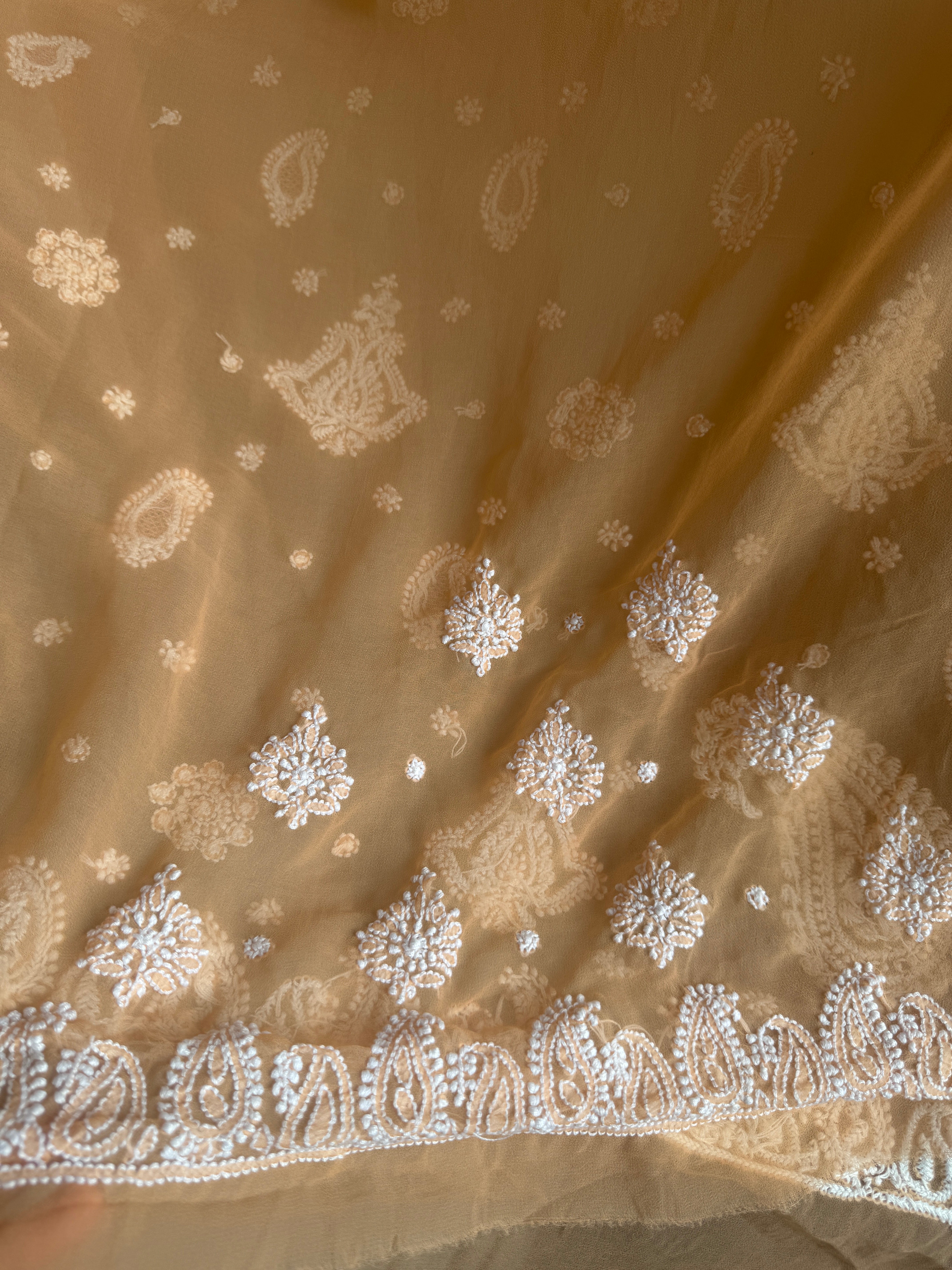 Georgette Chikankari saree in Sunset Orange ARIAA CHIKANKARI