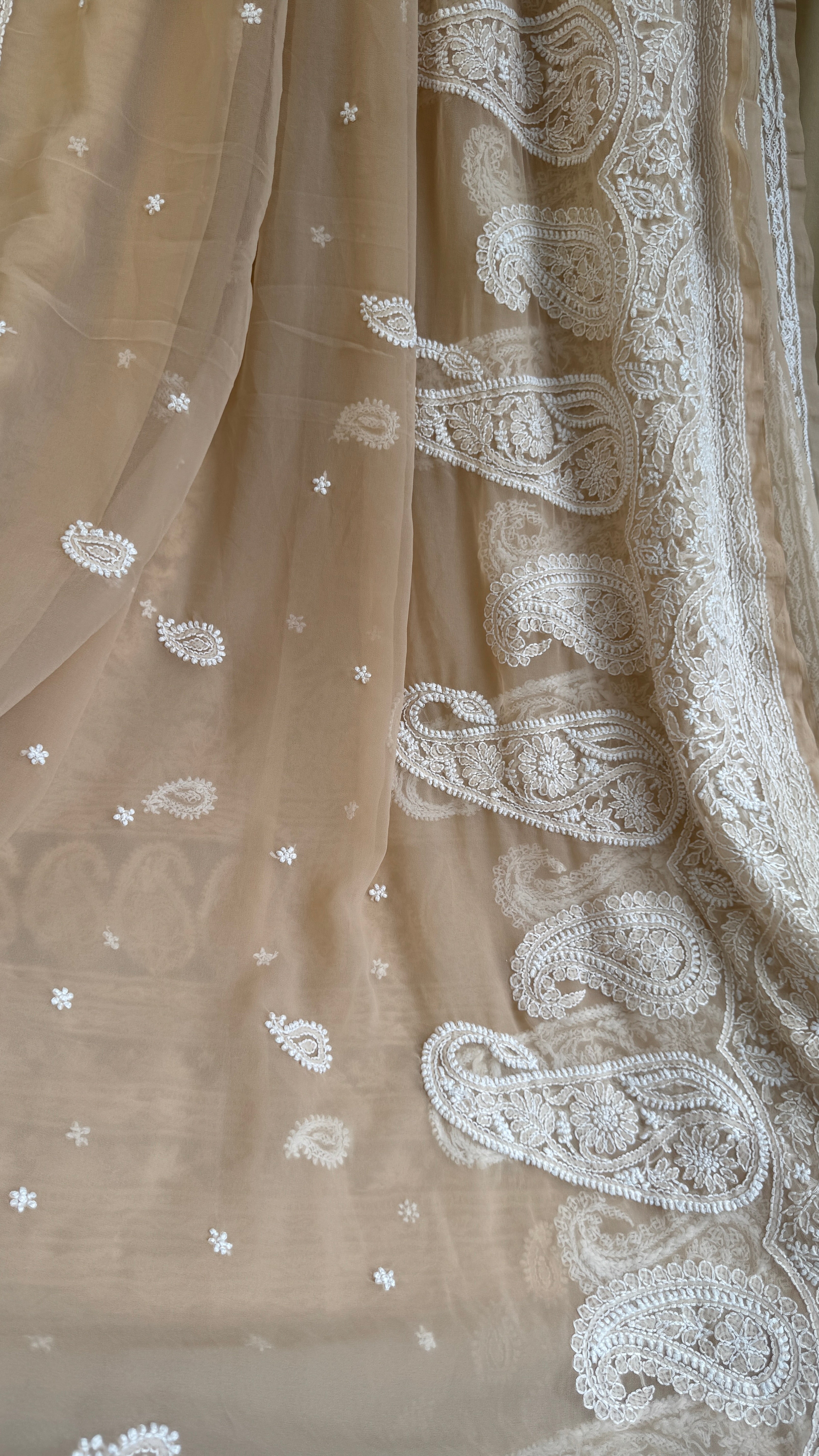 Georgette Chikankari saree in Beige Brown