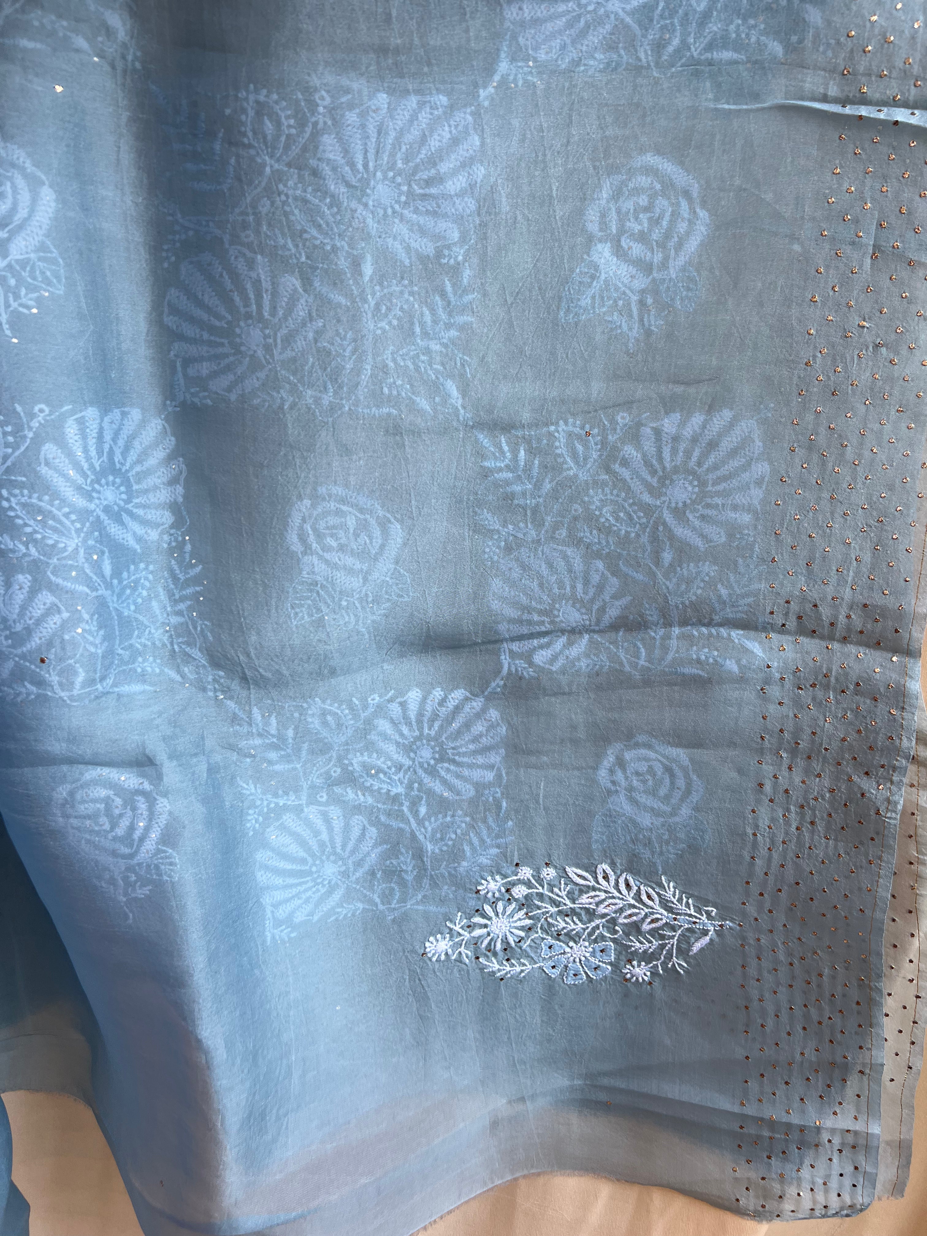 Pure organza Chikankari saree in Blue with Mukaish work