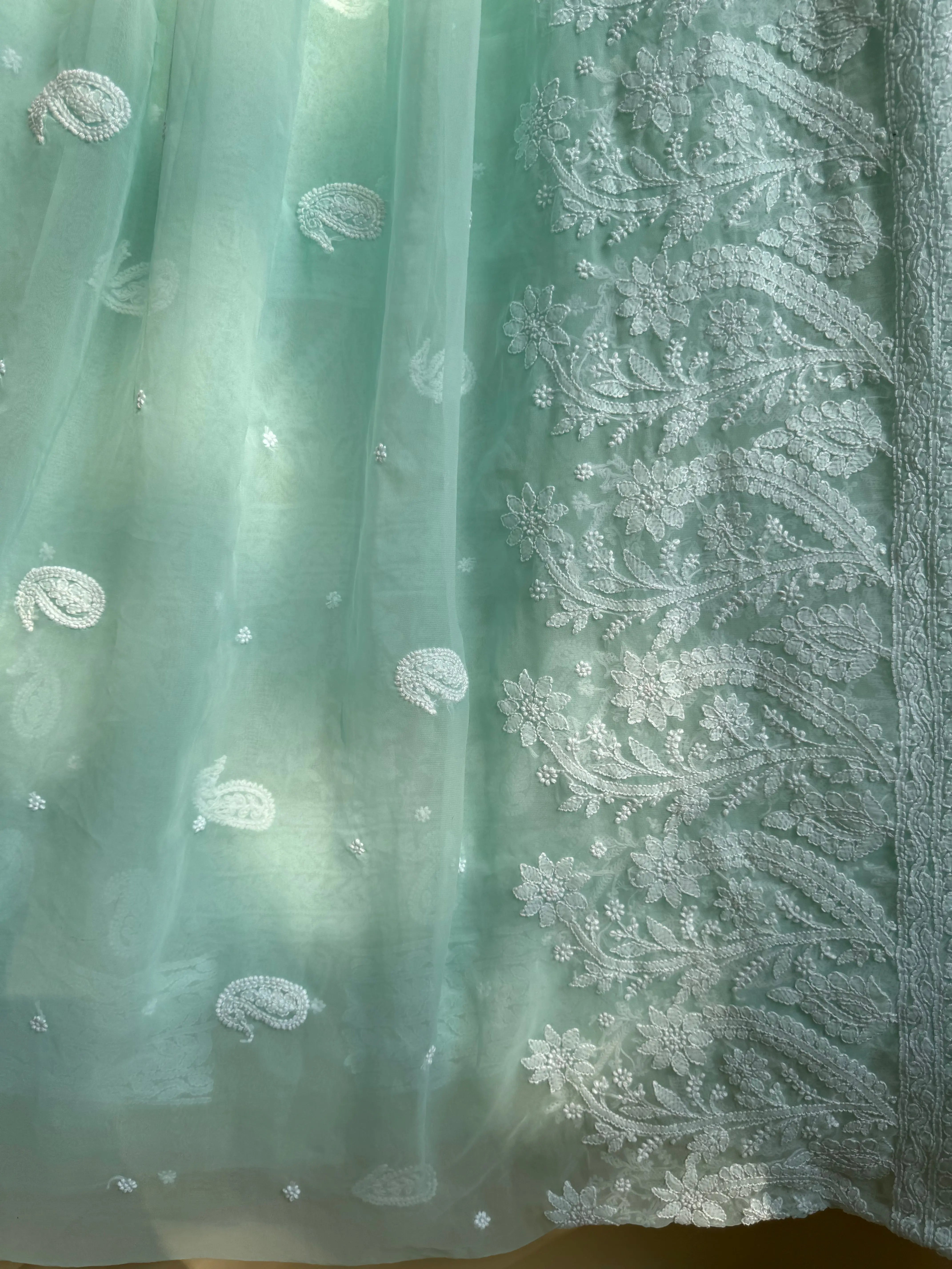 Georgette Chikankari saree in Sea Green ARIAA CHIKANKARI