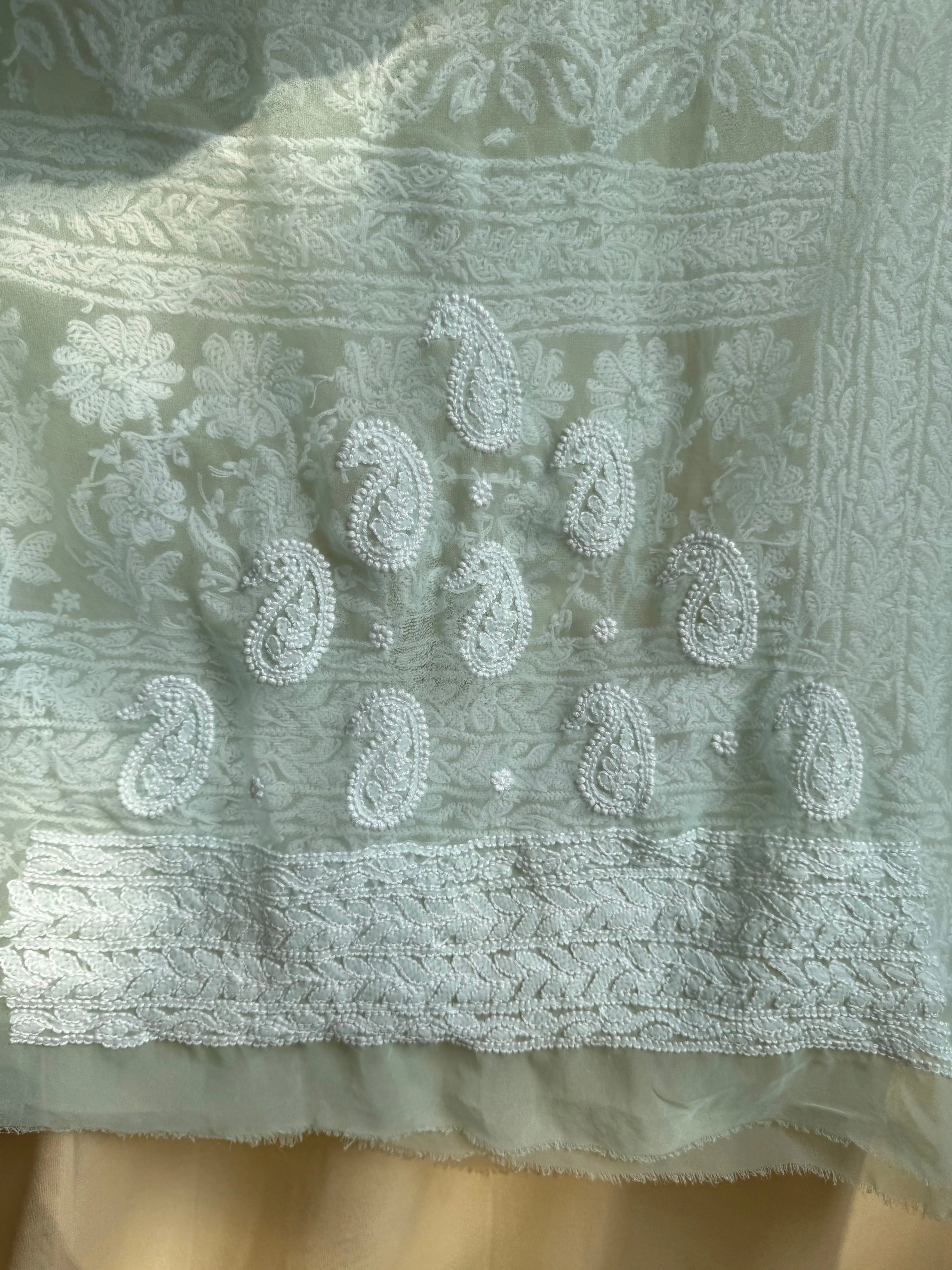 Georgette Chikankari saree in Sea Green ARIAA CHIKANKARI