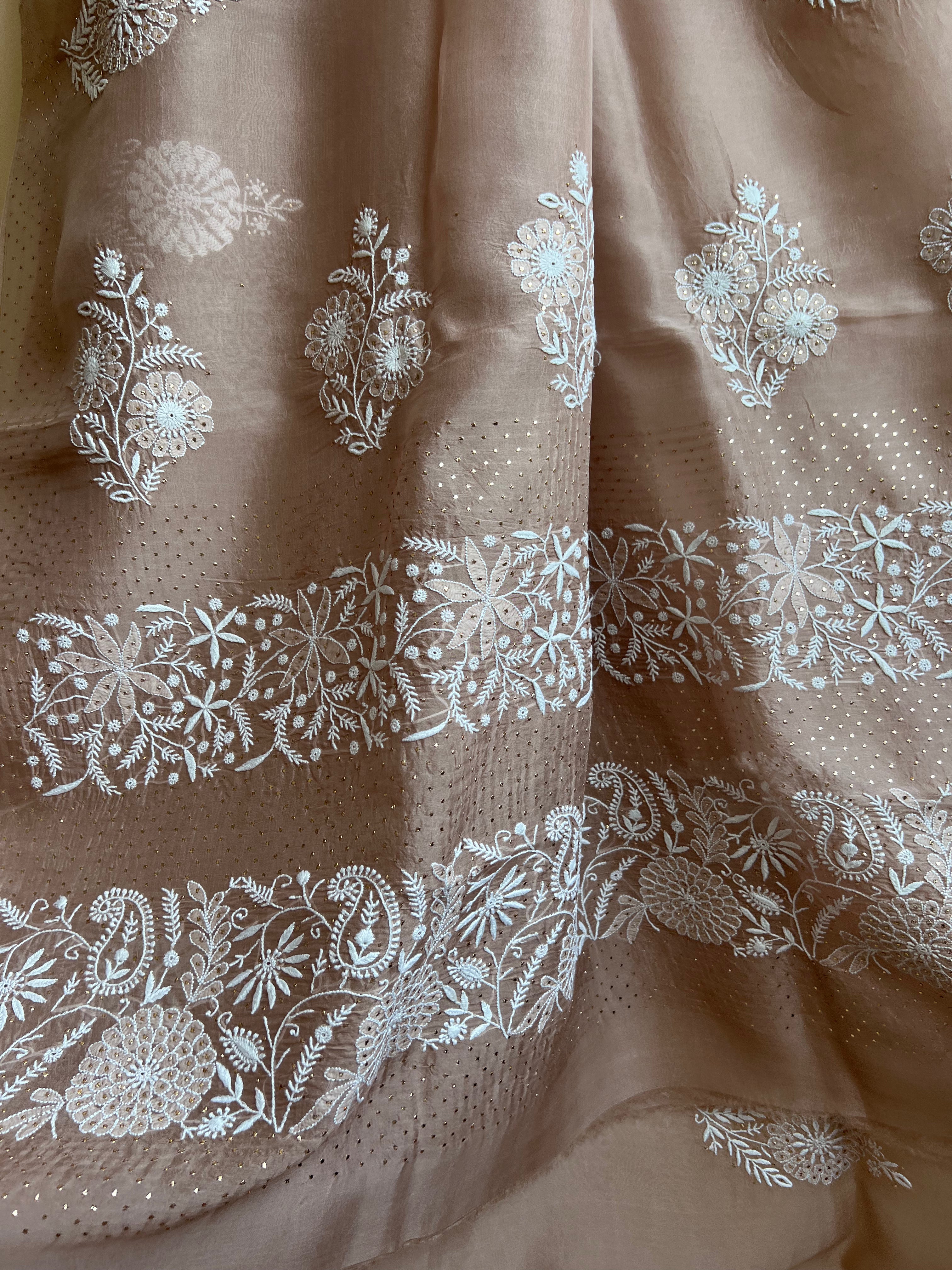 Pure organza Chikankari saree in Soft Brown with Mukaish work ARIAA CHIKANKARI