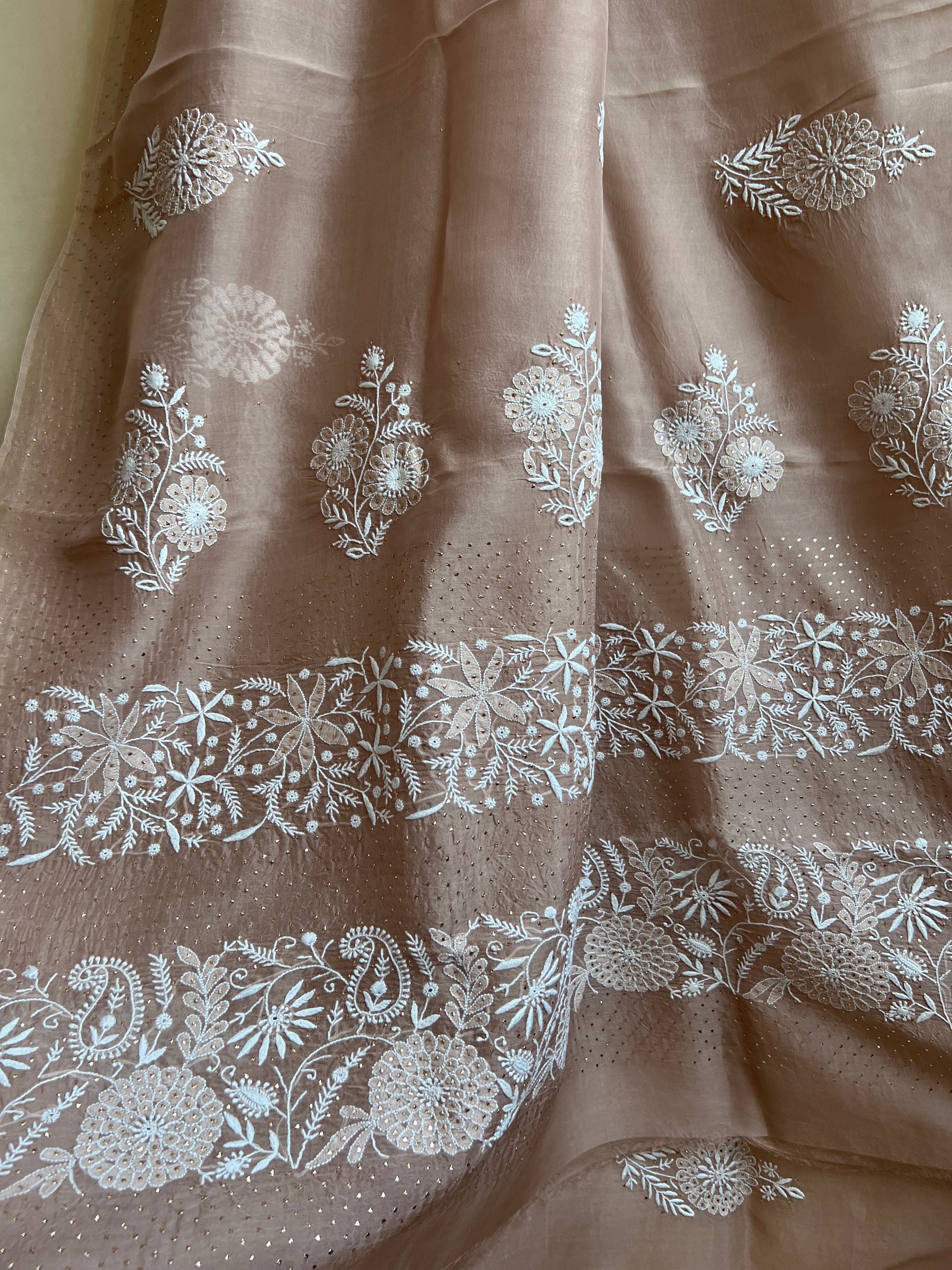 Pure organza Chikankari saree in Soft Brown with Mukaish work ARIAA CHIKANKARI