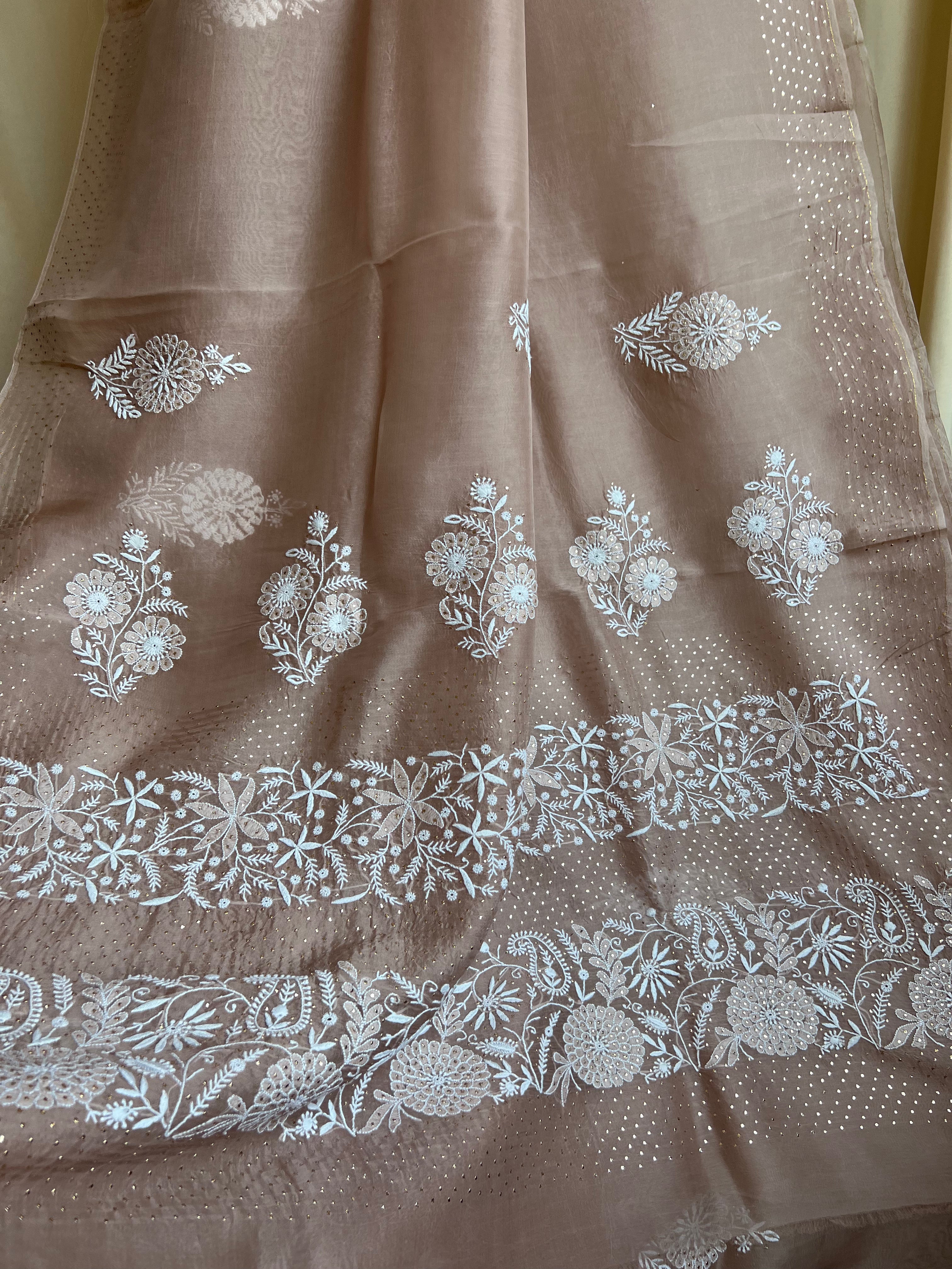 Pure organza Chikankari saree in Soft Brown with Mukaish work ARIAA CHIKANKARI
