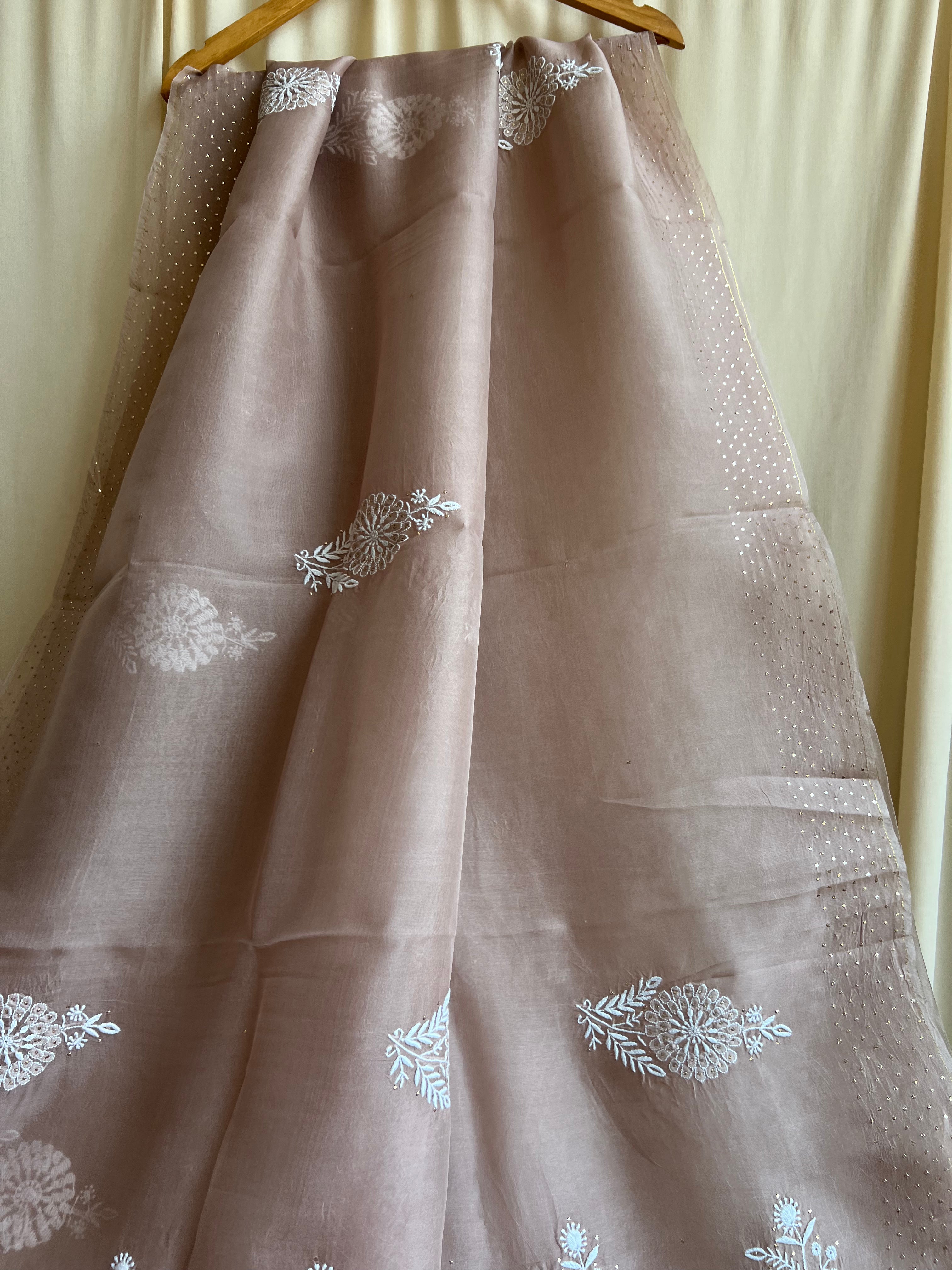 Pure organza Chikankari saree in Soft Brown with Mukaish work ARIAA CHIKANKARI