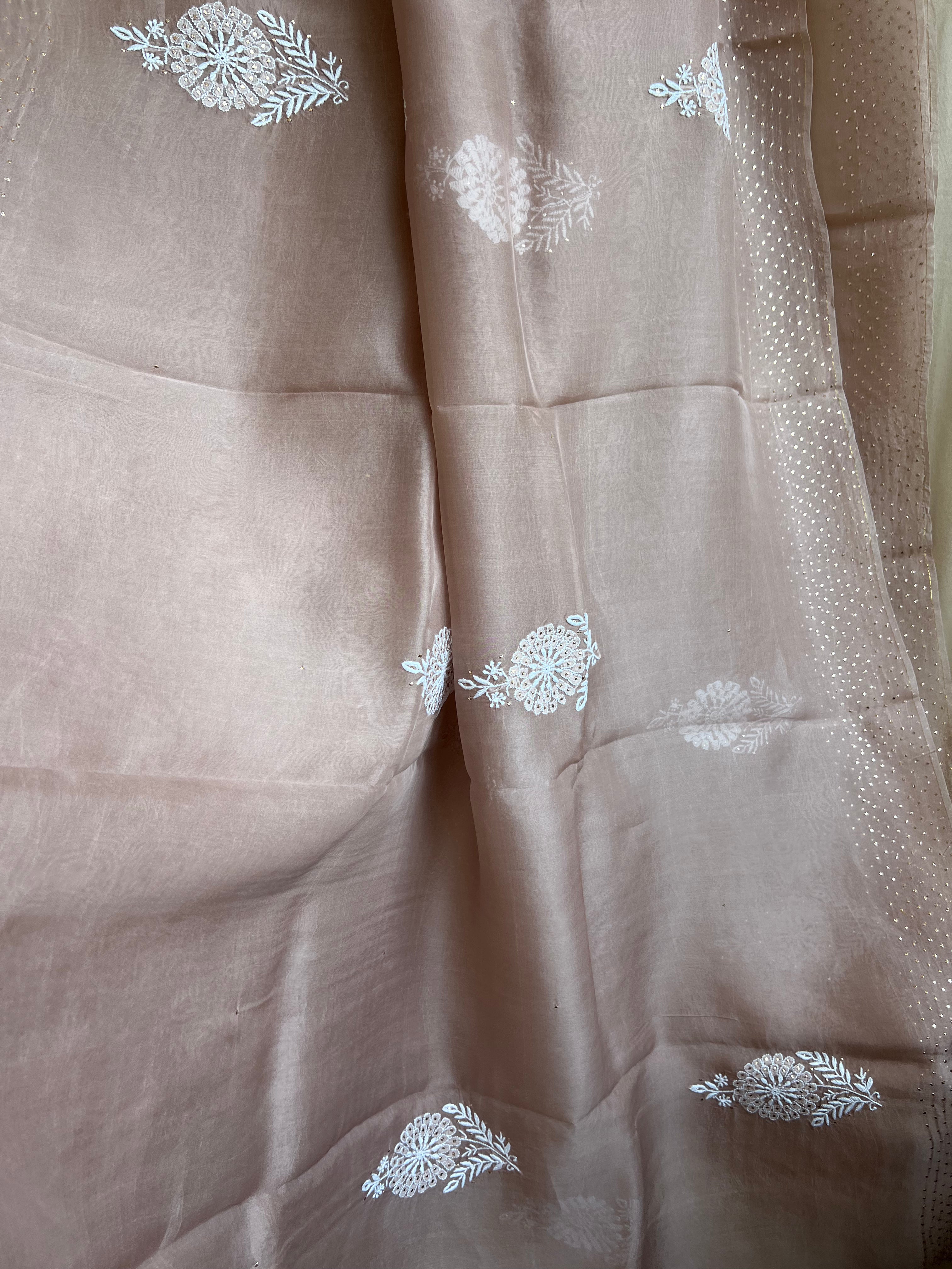 Pure organza Chikankari saree in Soft Brown with Mukaish work ARIAA CHIKANKARI