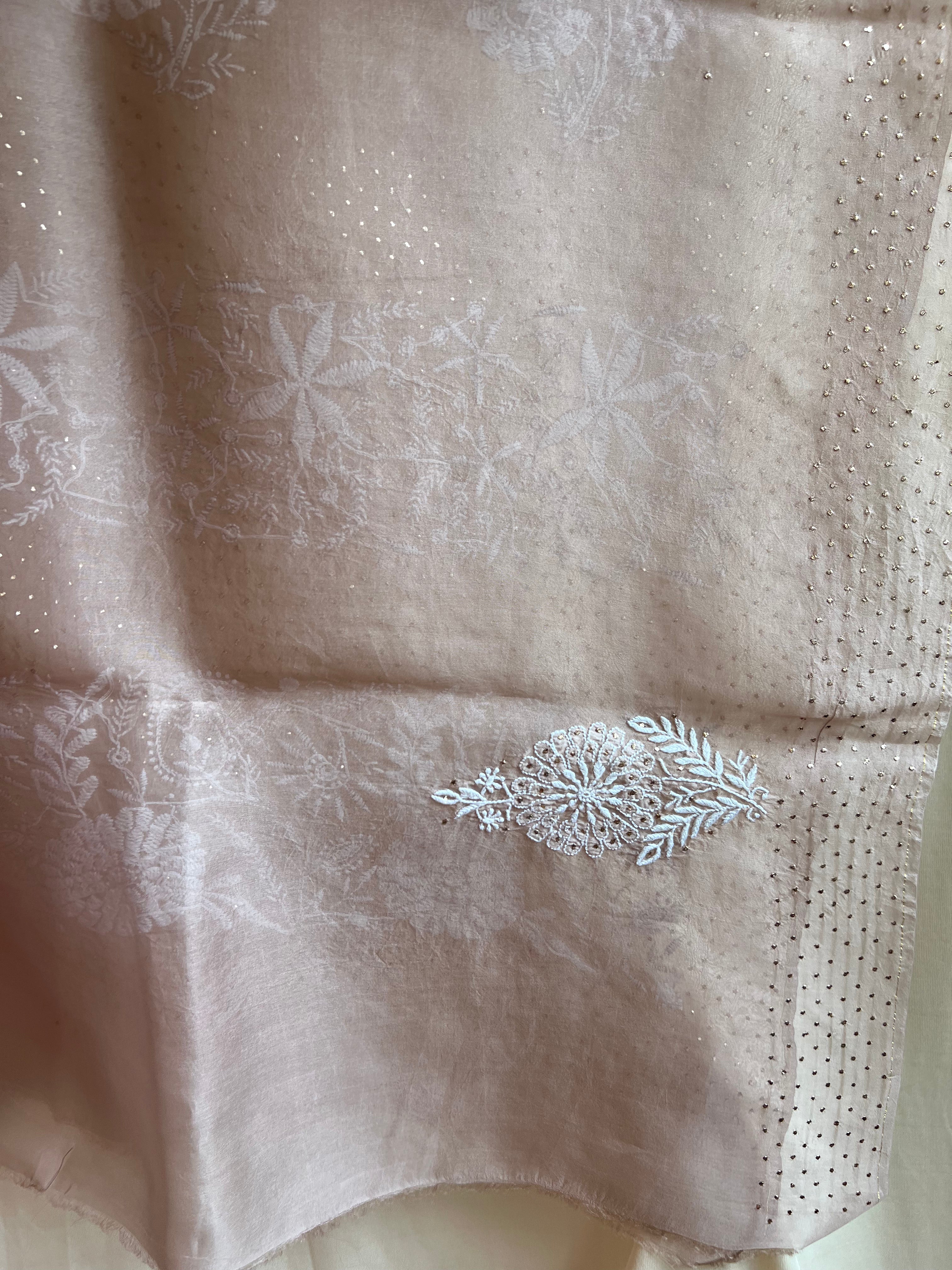 Pure organza Chikankari saree in Soft Brown with Mukaish work ARIAA CHIKANKARI