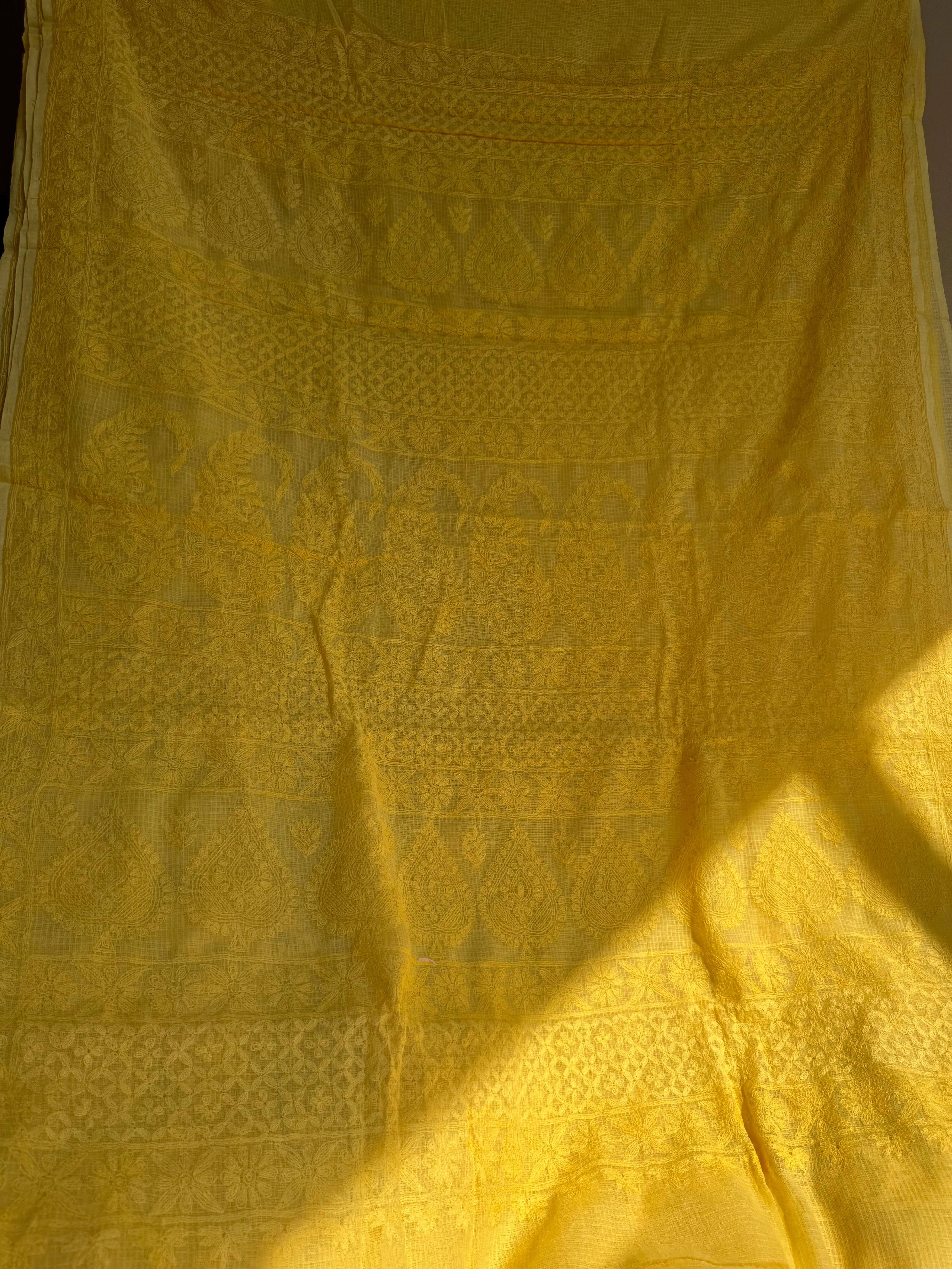 Kota Chikankari saree in Yellow ARIAA CHIKANKARI