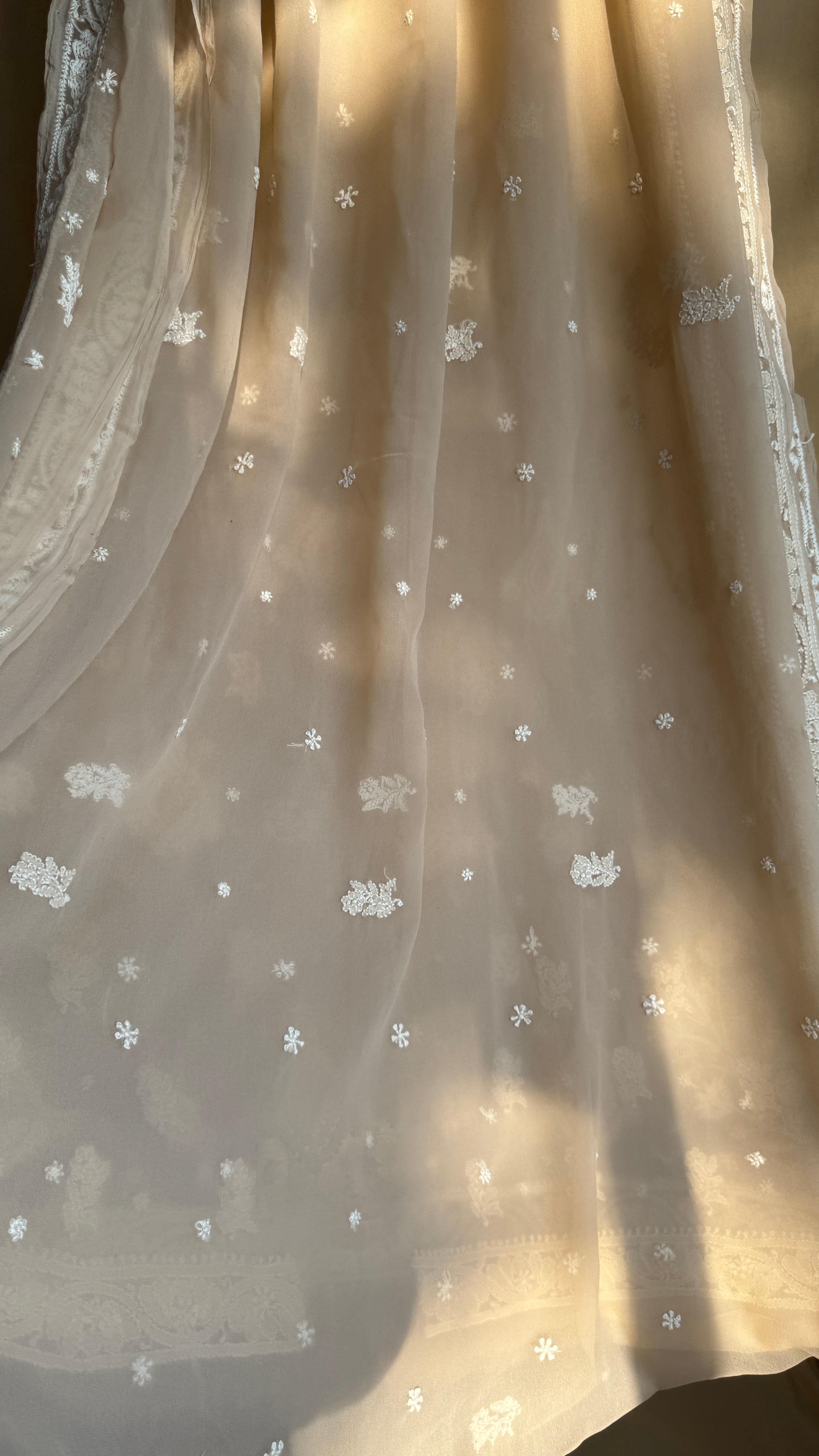 Georgette Chikankari saree in Fawn