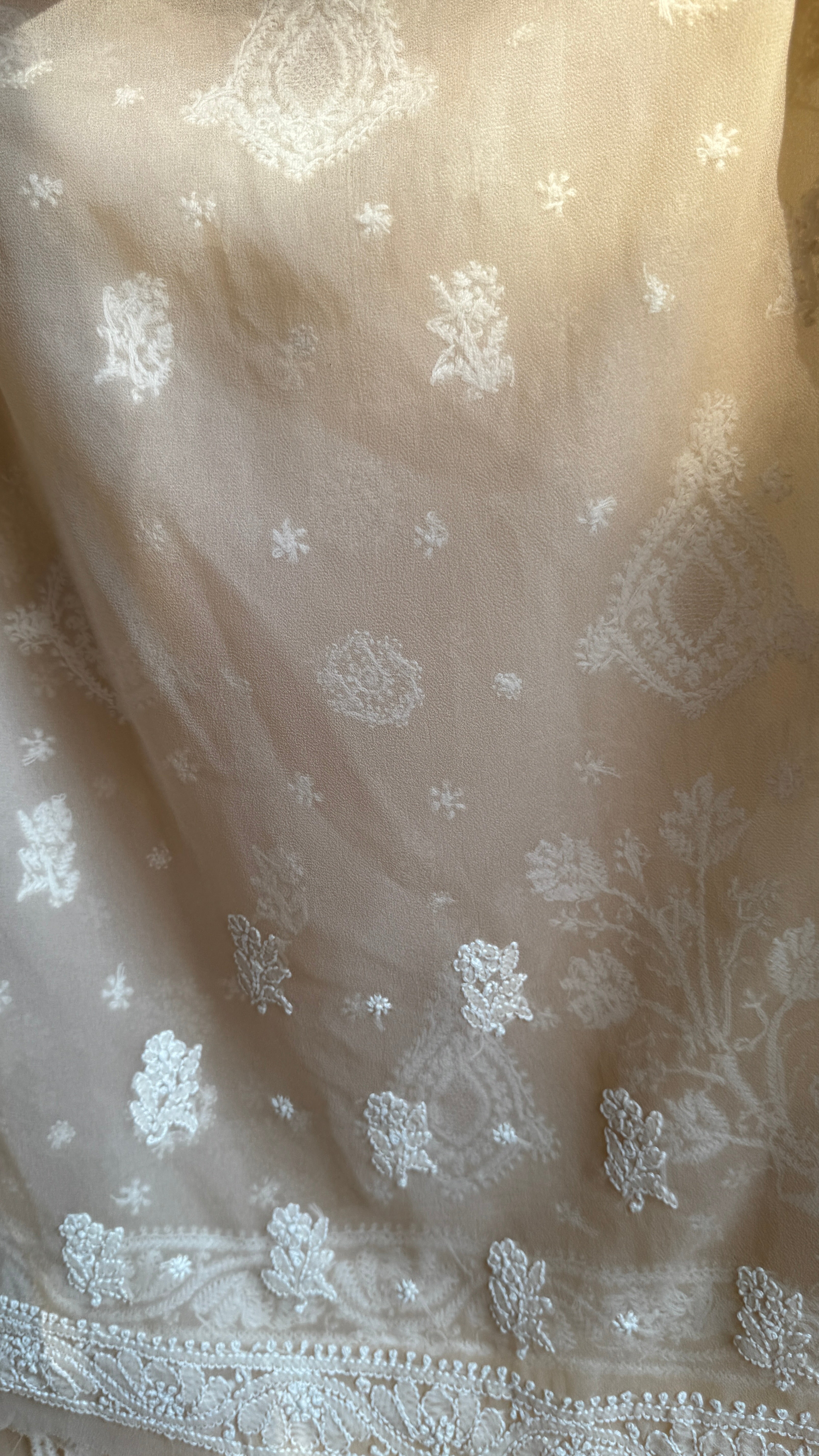 Georgette Chikankari saree in Fawn