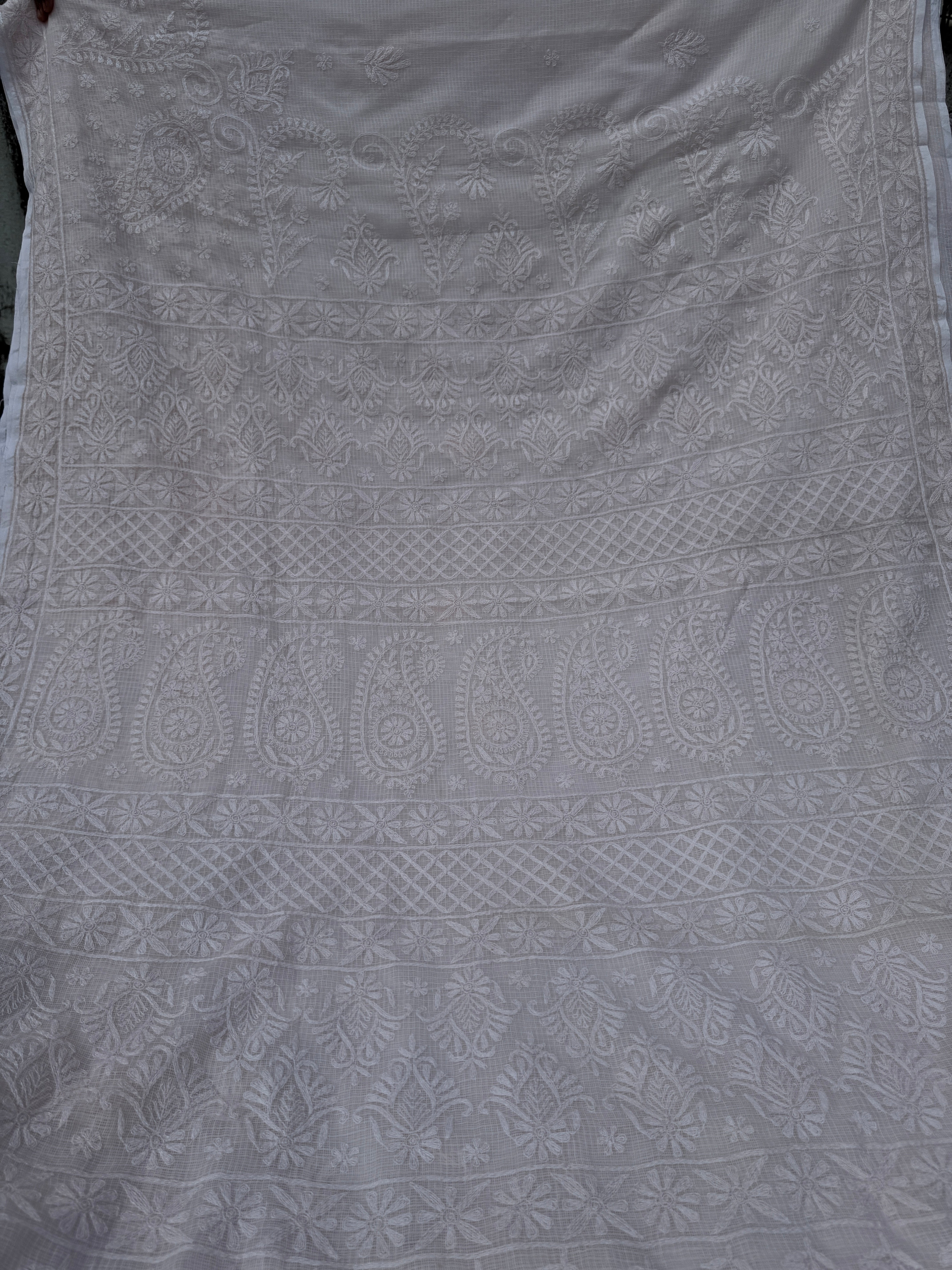 Kota Chikankari saree in Pale pink