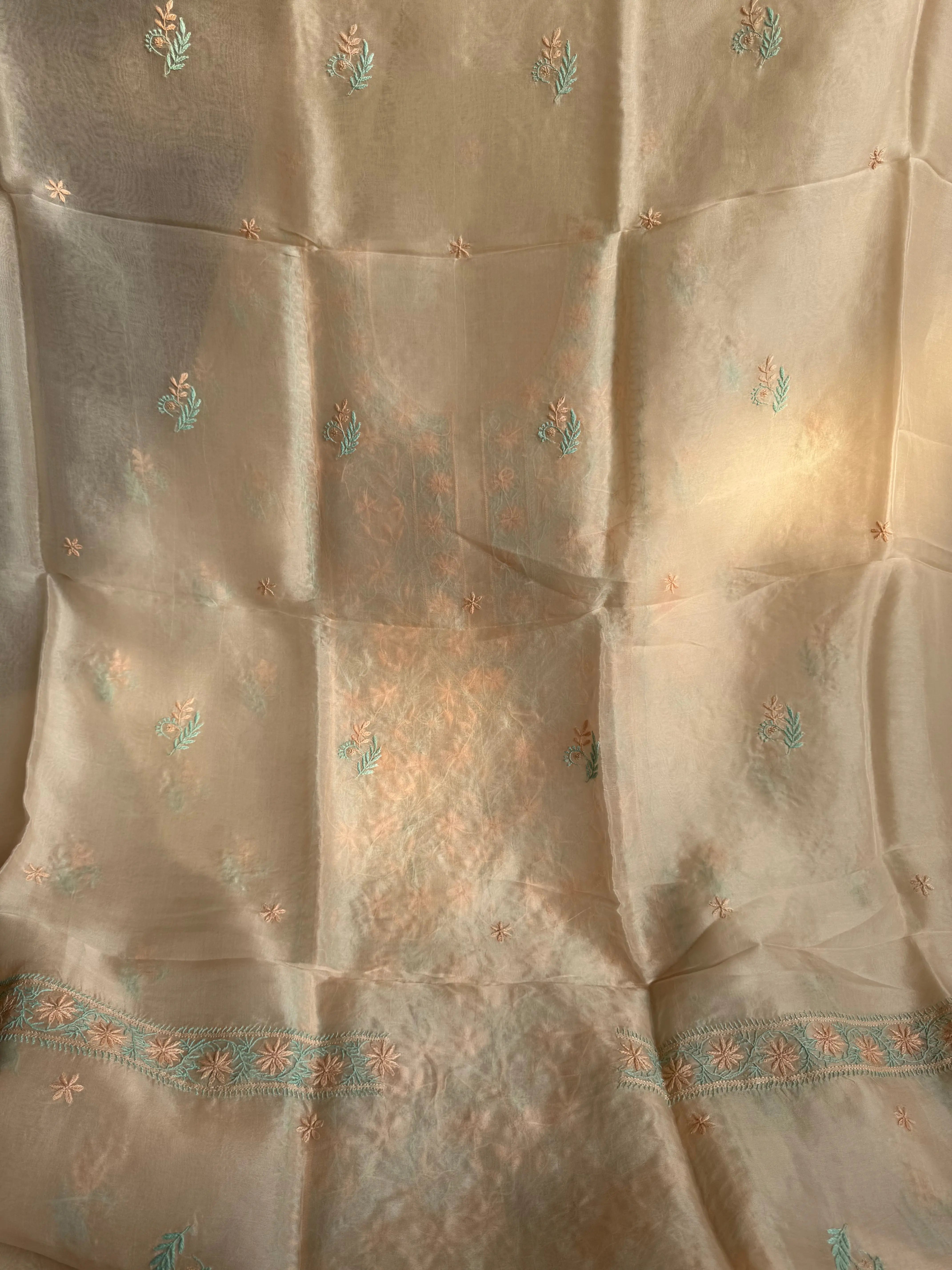 Organza Chikankari Length with Dupatta -Light Peach Pink ARIAA CHIKANKARI