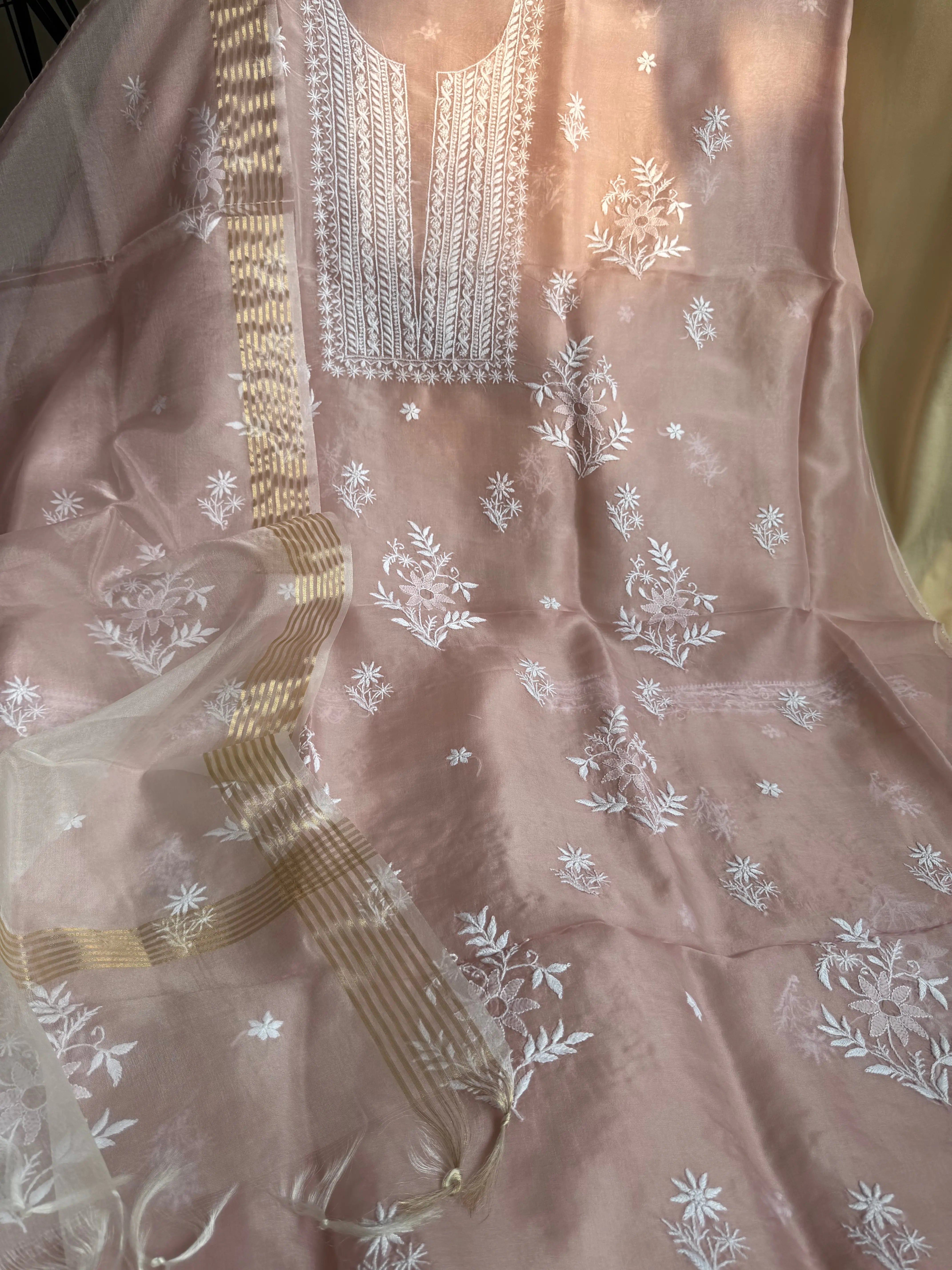 Organza Chikankari Length with Dupatta - Pink ARIAA CHIKANKARI