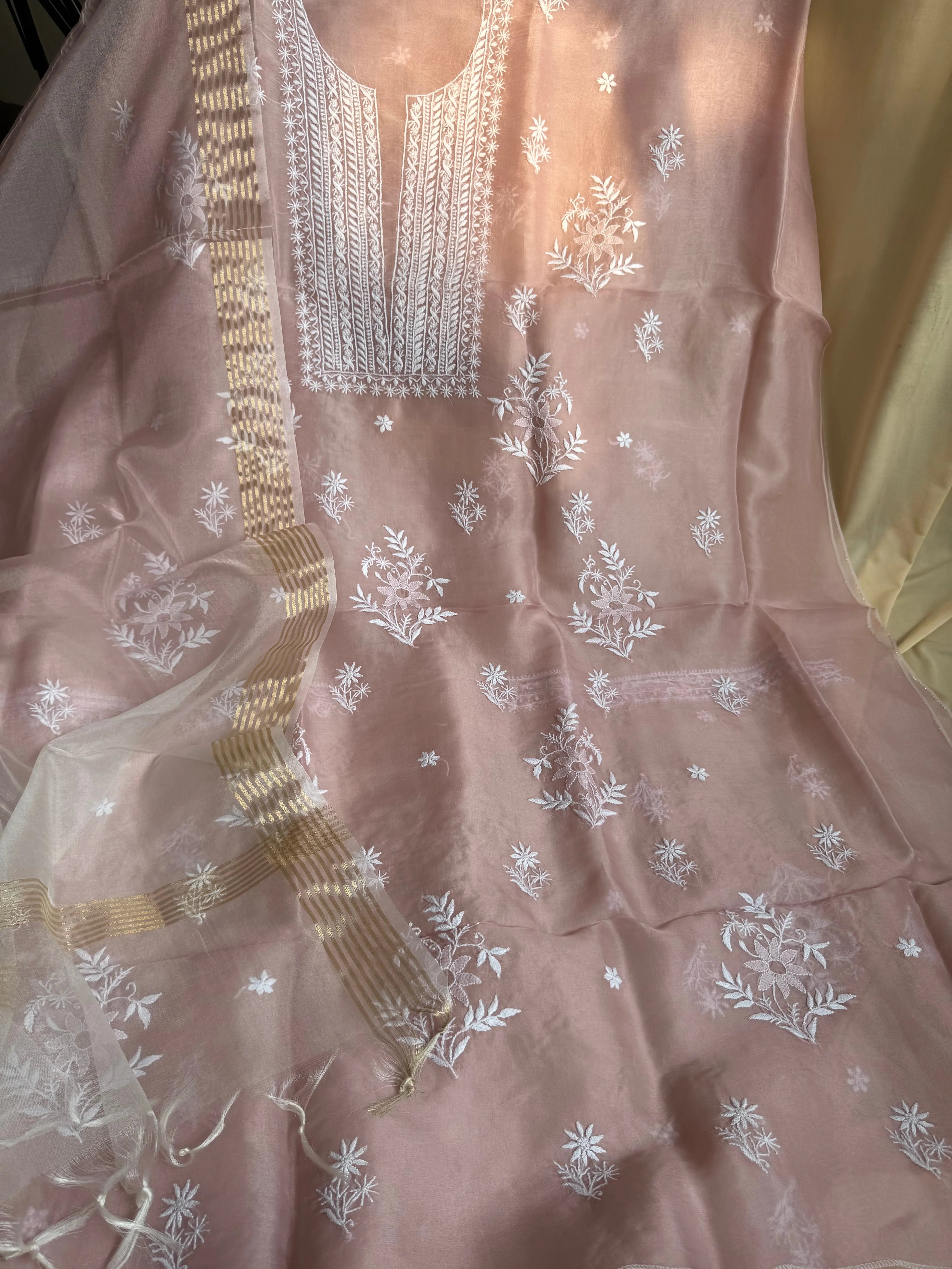 Organza Chikankari Length with Dupatta - Pink ARIAA CHIKANKARI