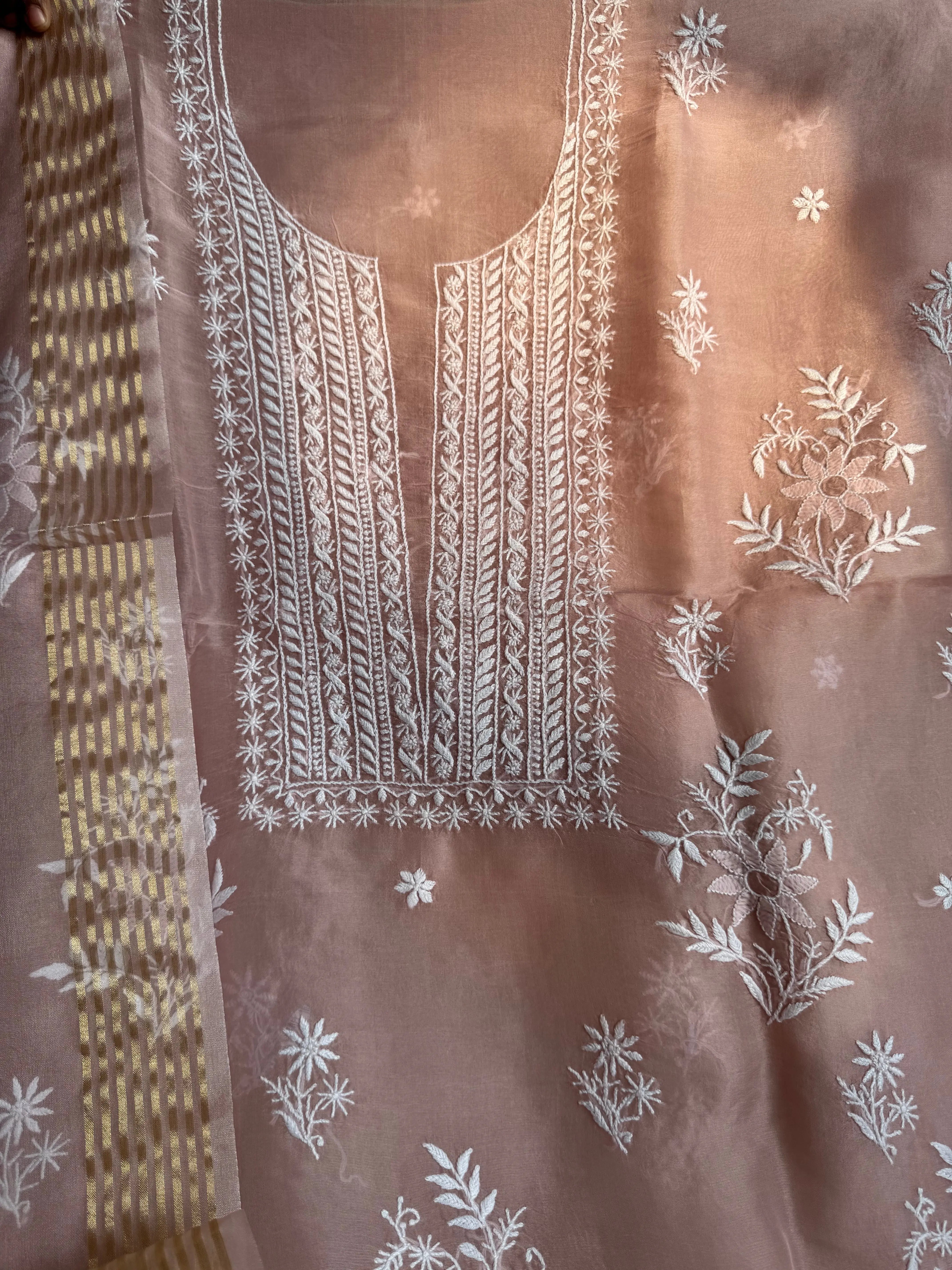 Organza Chikankari Length with Dupatta - Pink ARIAA CHIKANKARI