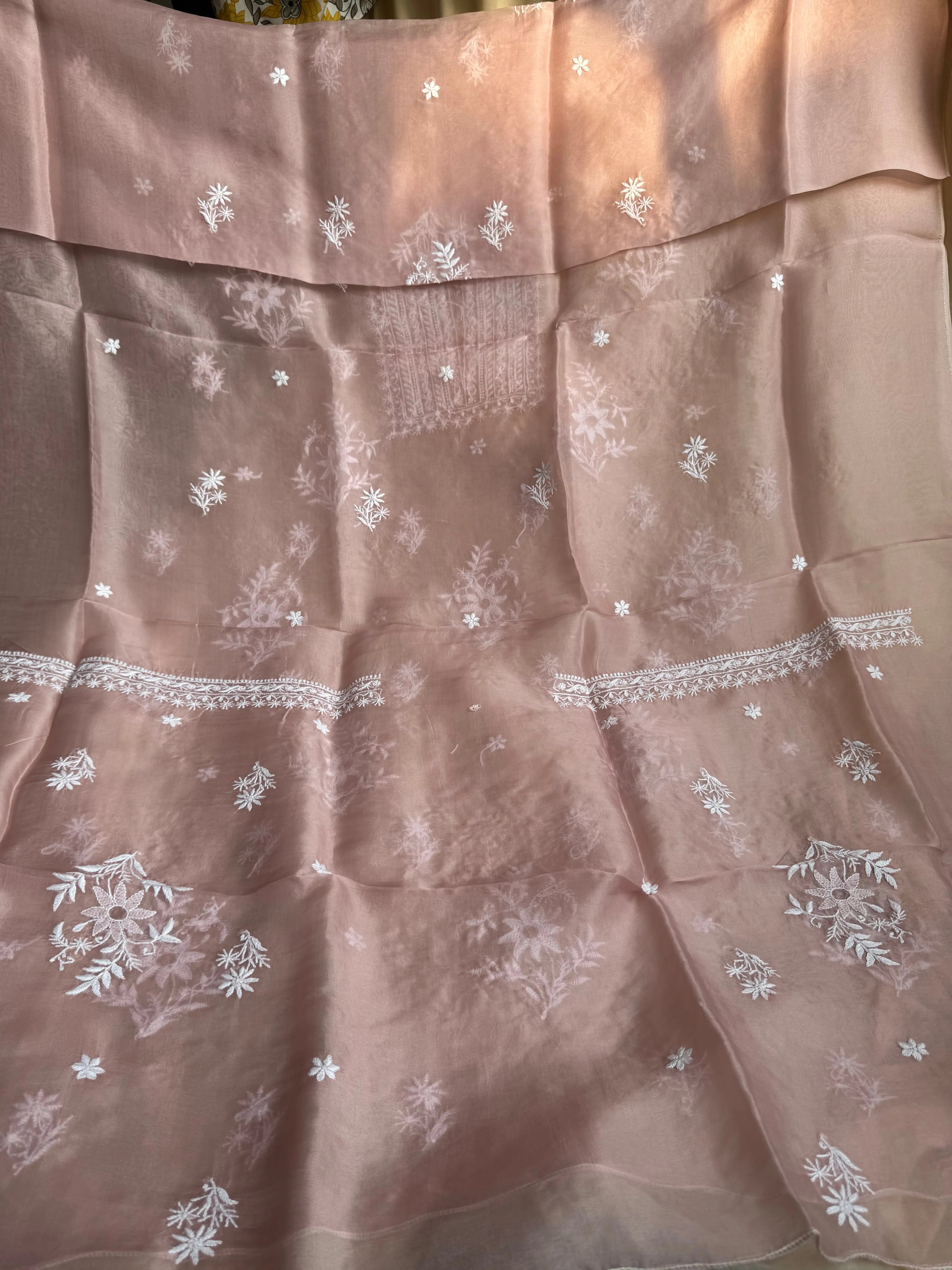 Organza Chikankari Length with Dupatta - Pink ARIAA CHIKANKARI