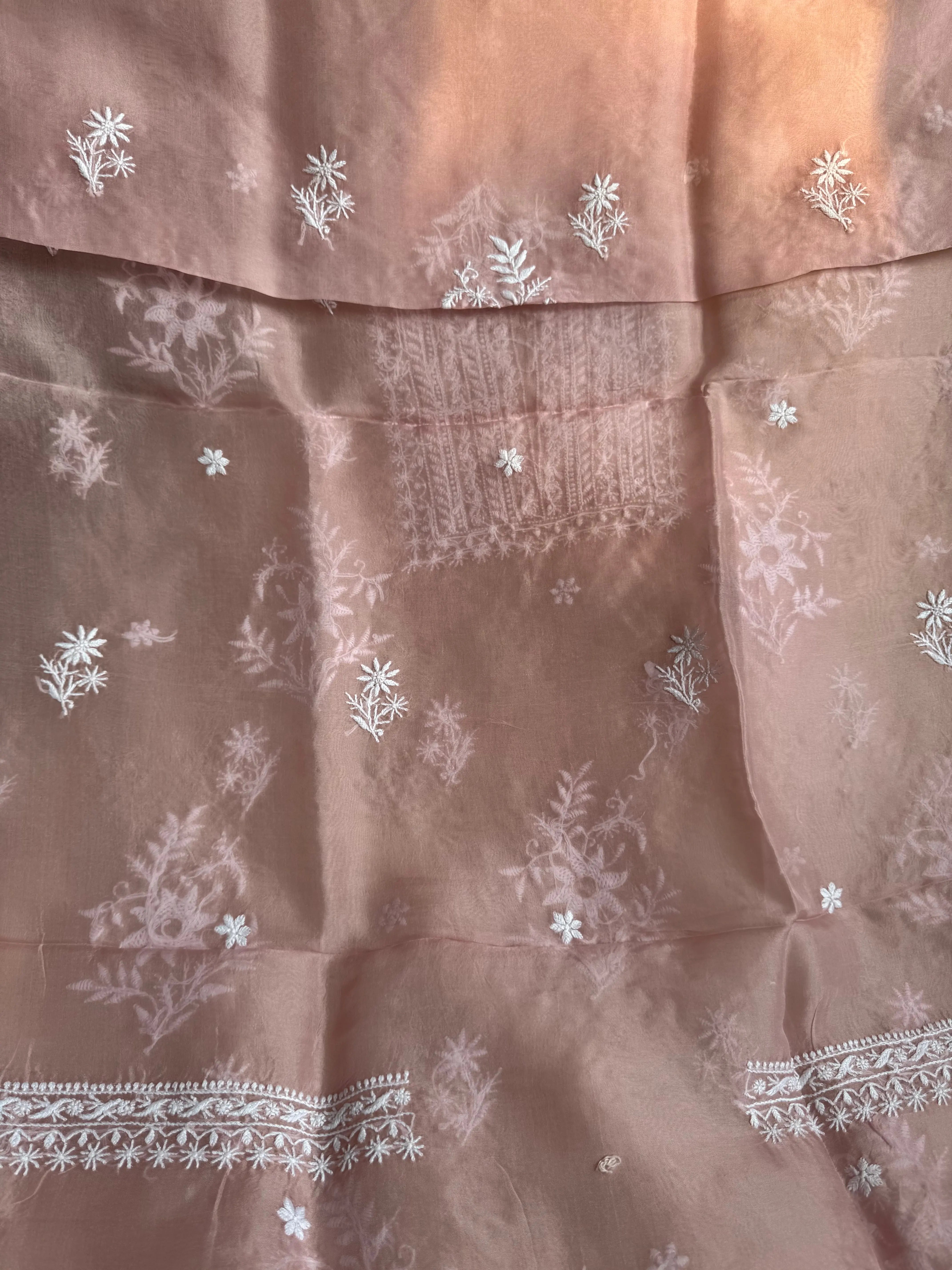 Organza Chikankari Length with Dupatta - Pink ARIAA CHIKANKARI