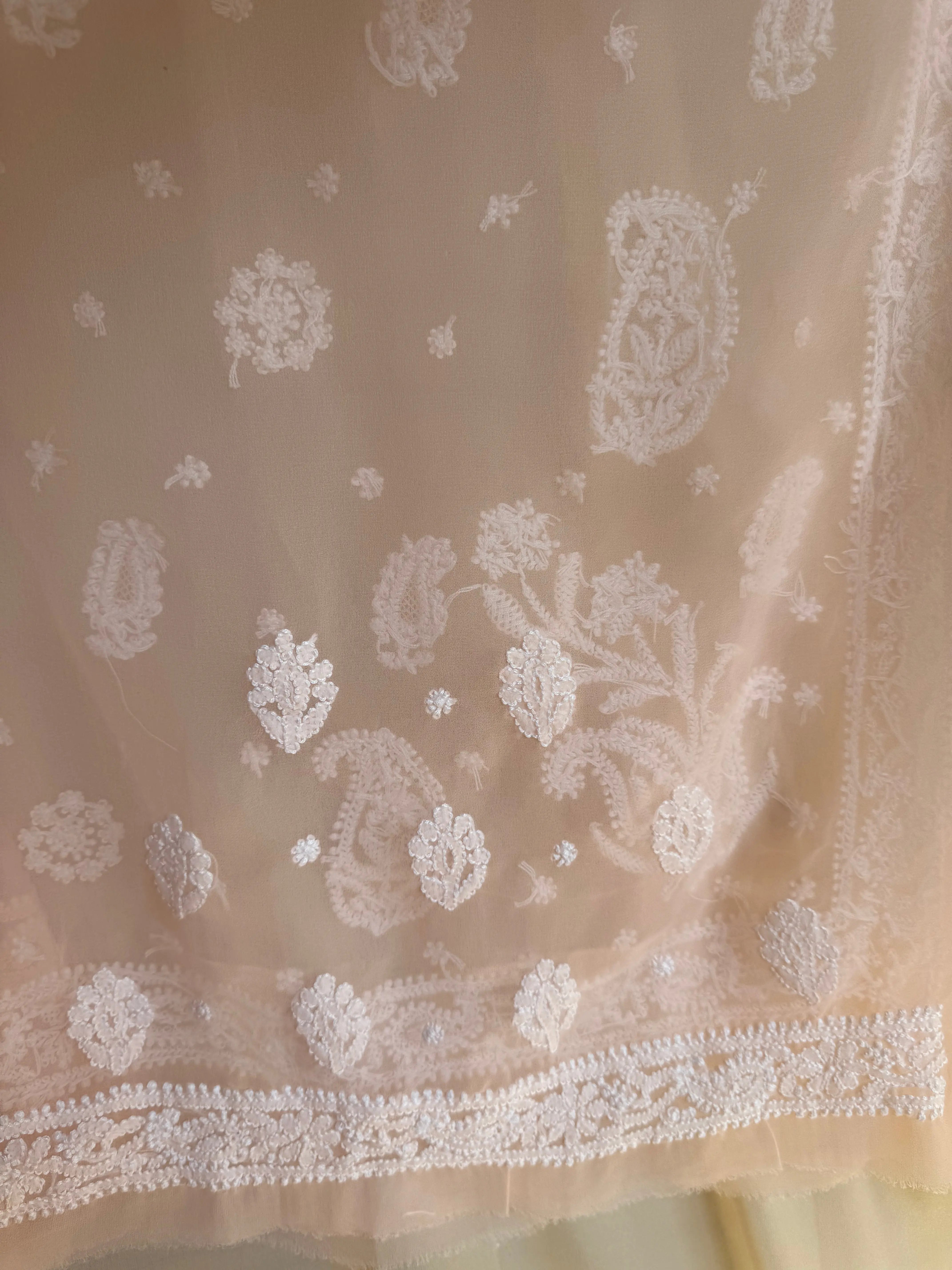 Georgette Chikankari saree in Peach ARIAA CHIKANKARI
