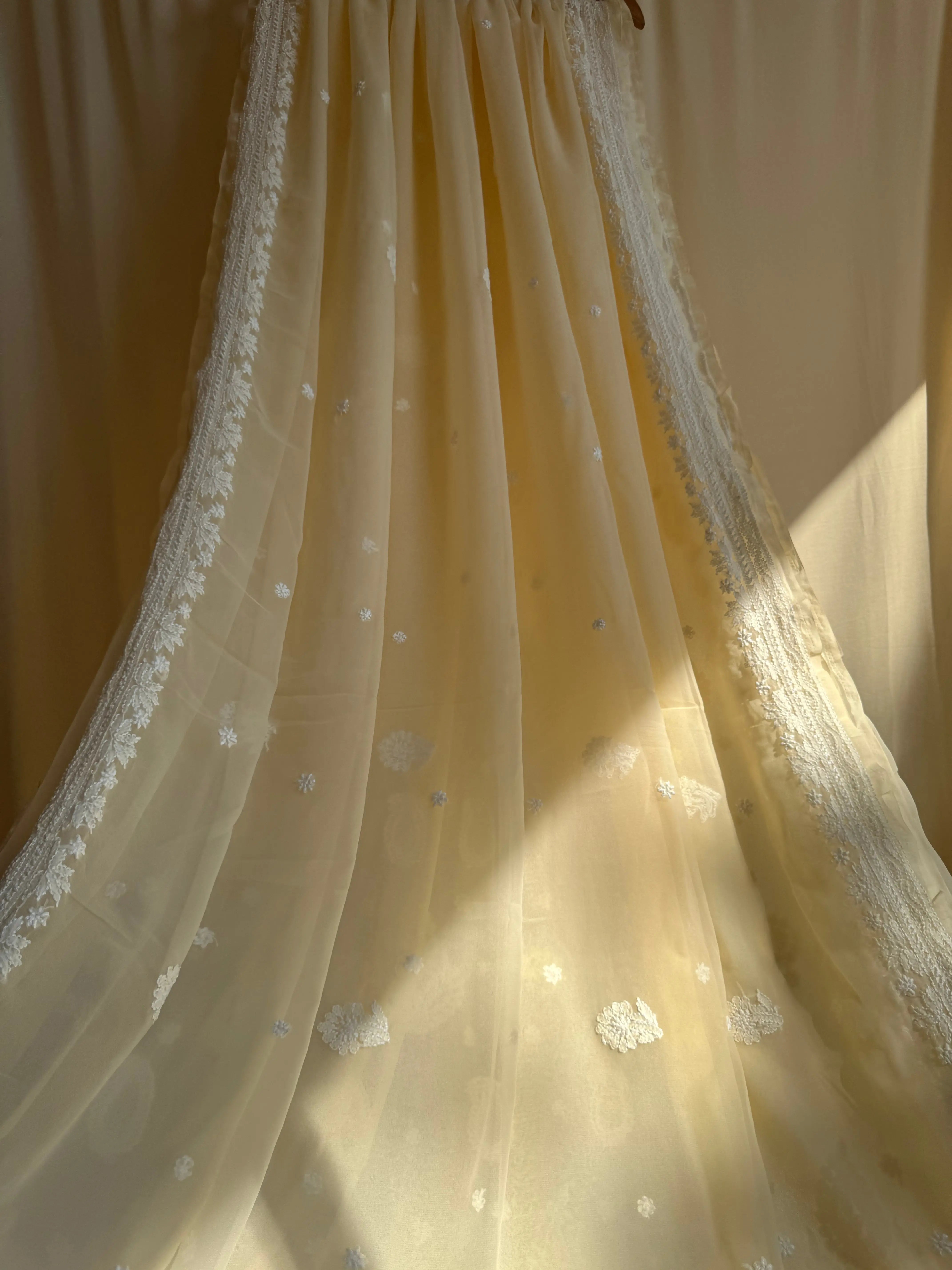 Georgette Chikankari saree in Beige ARIAA CHIKANKARI