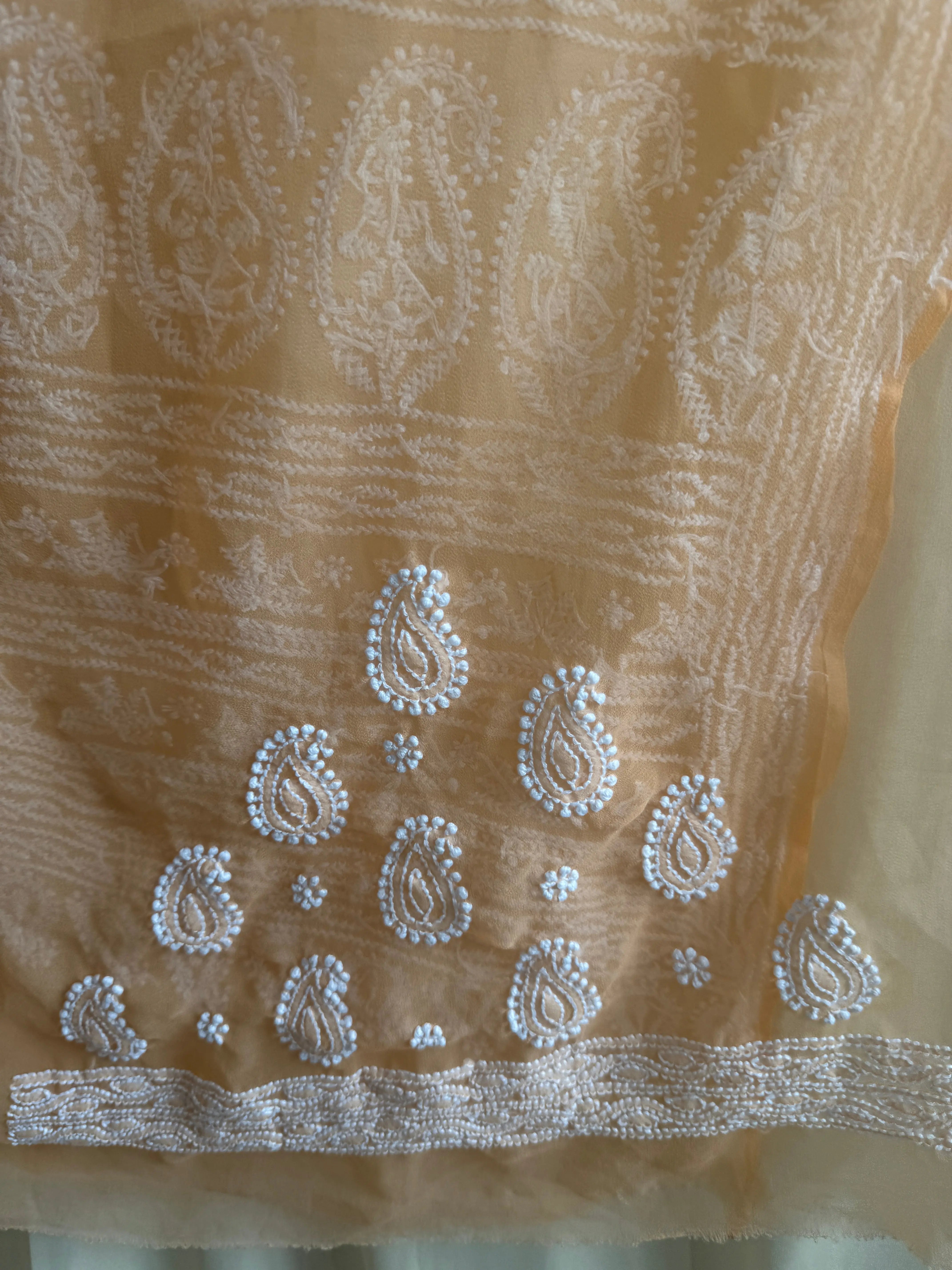 Georgette Chikankari saree in Orange ARIAA CHIKANKARI