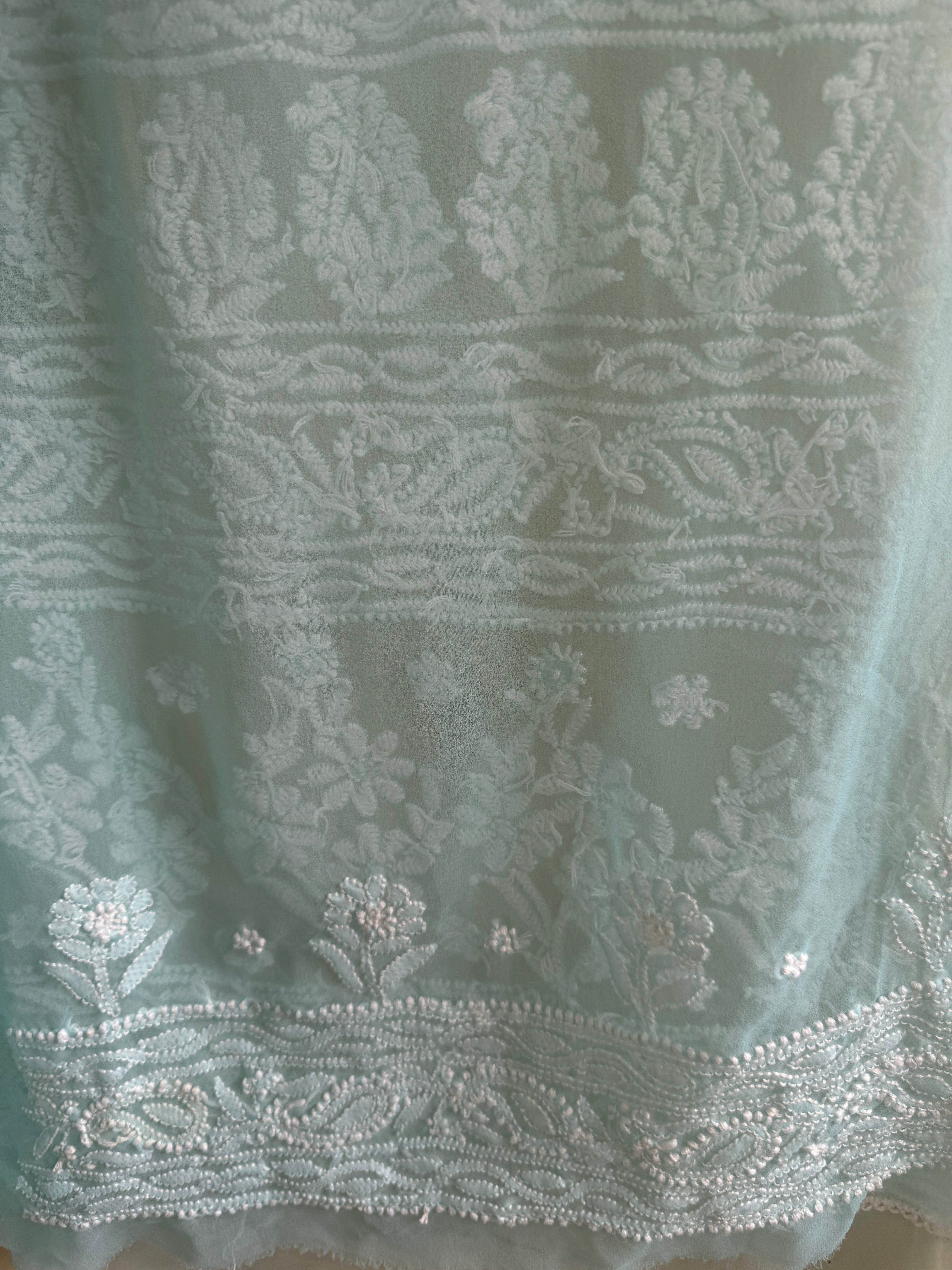 Georgette Chikankari saree in Blue