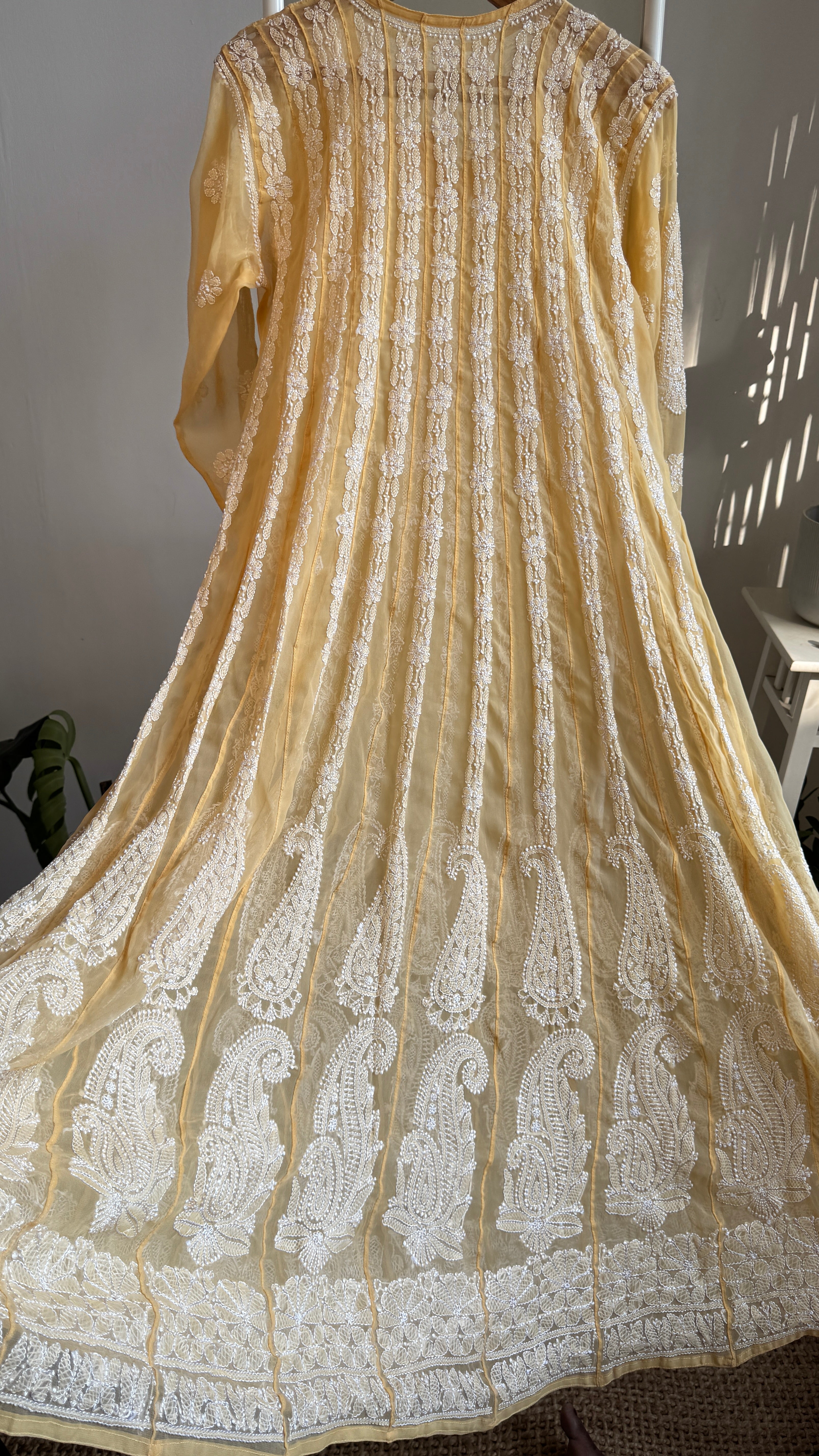 Georgette Chikankari Anarkali - Beige
