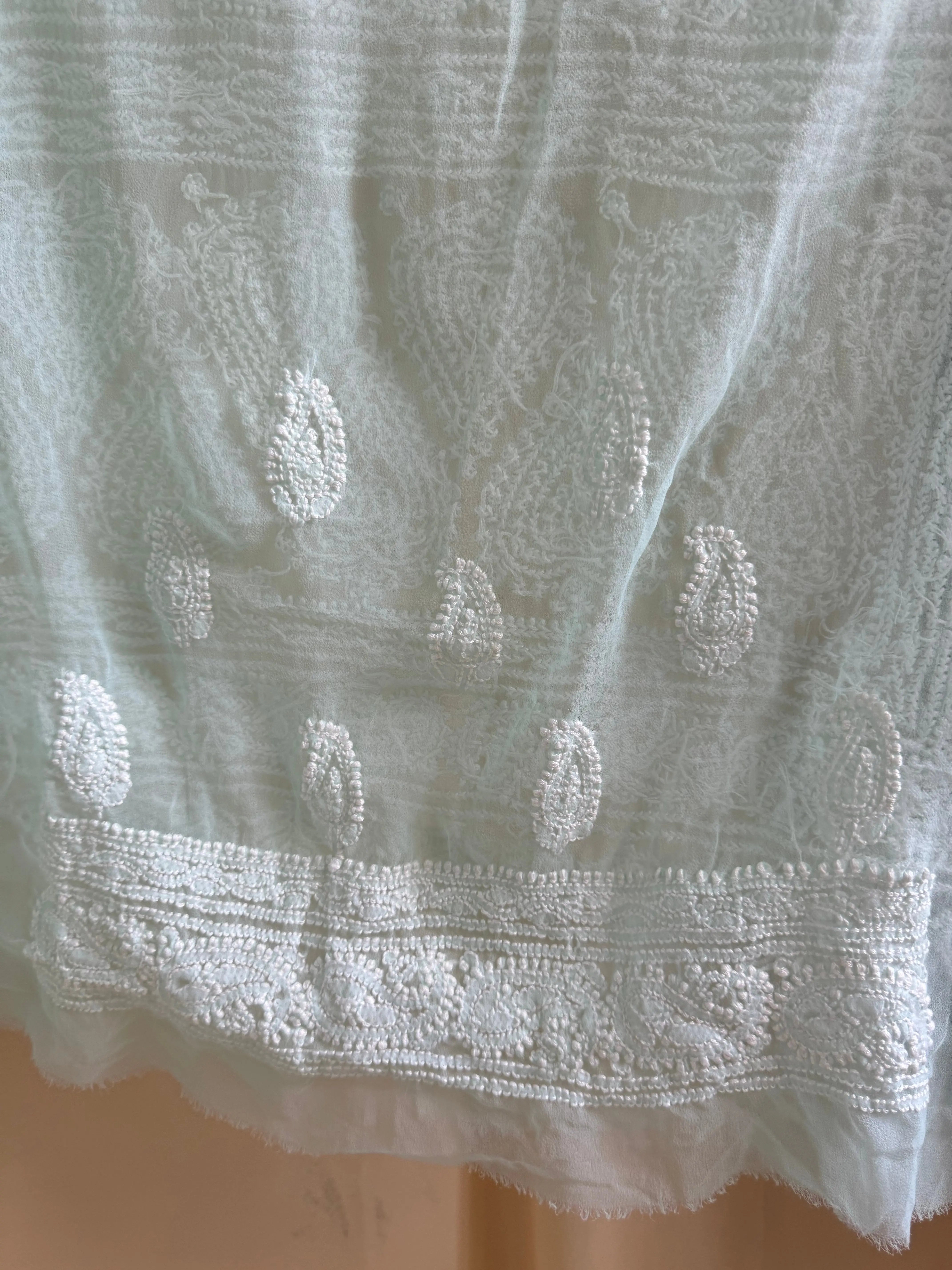 Georgette Chikankari saree in Sea Green ARIAA CHIKANKARI