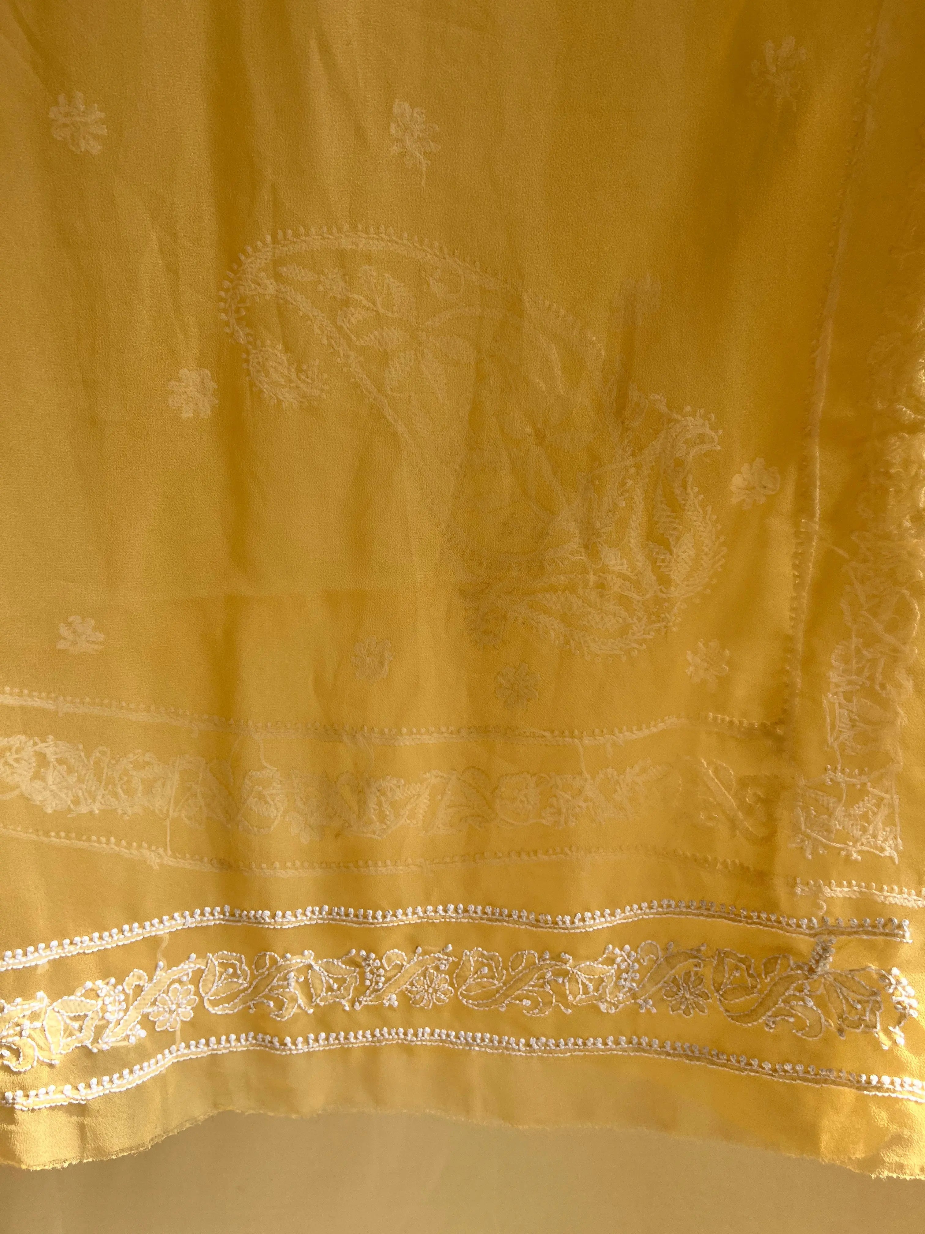 Georgette Chikankari saree in Beige ARIAA CHIKANKARI