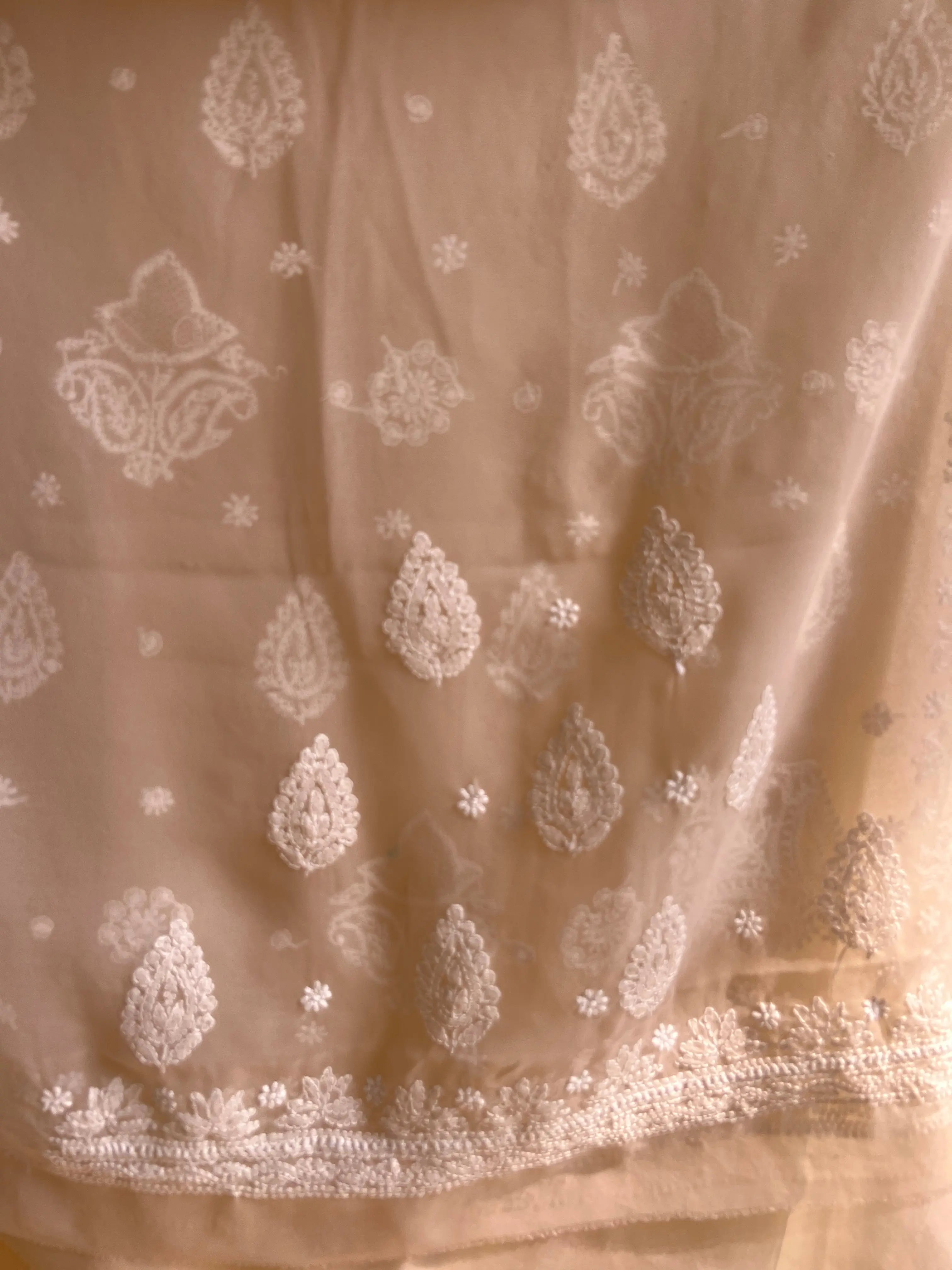 Georgette Chikankari saree in Fawn ARIAA CHIKANKARI