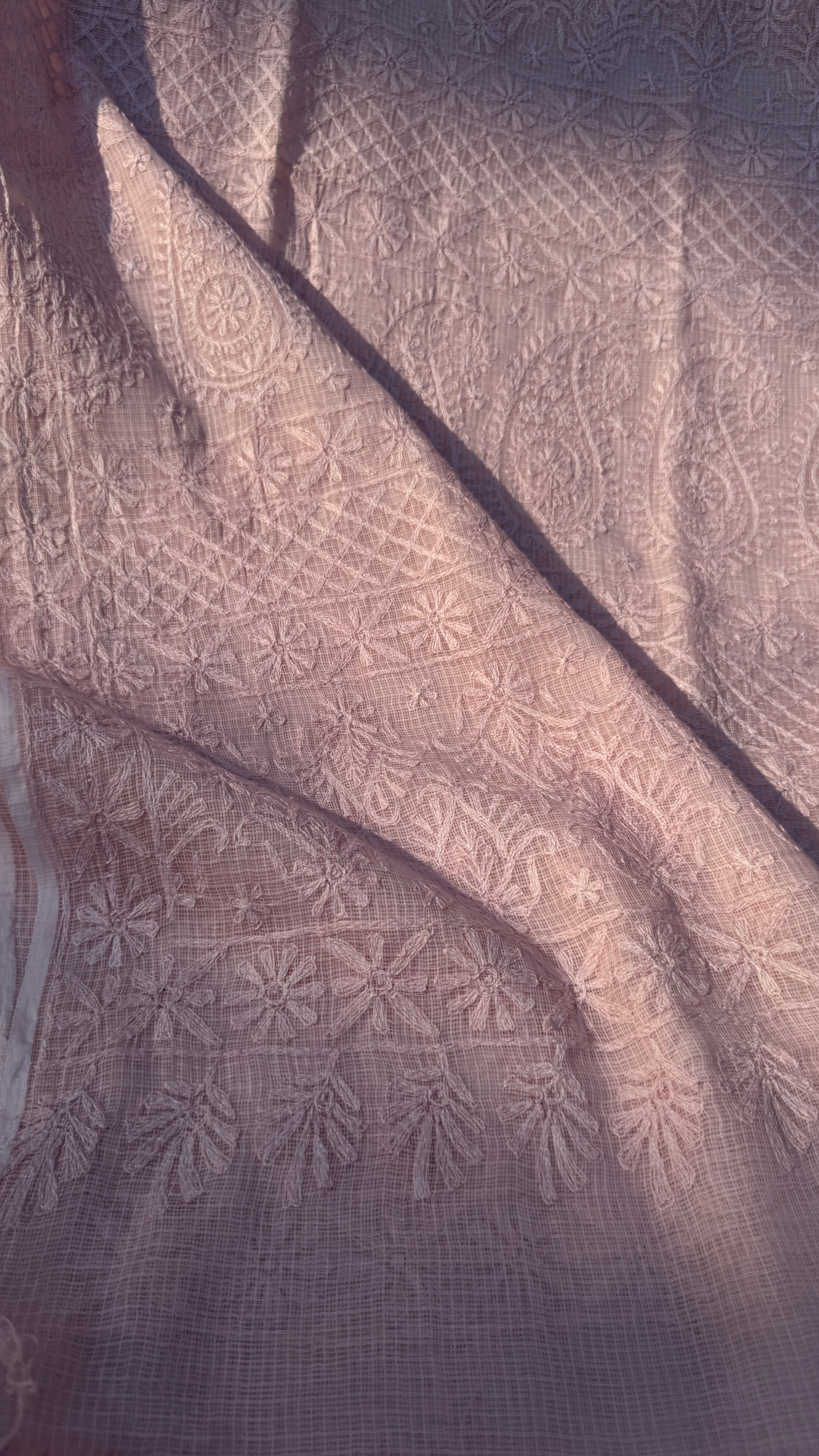 Kota Chikankari saree in Pale Pink