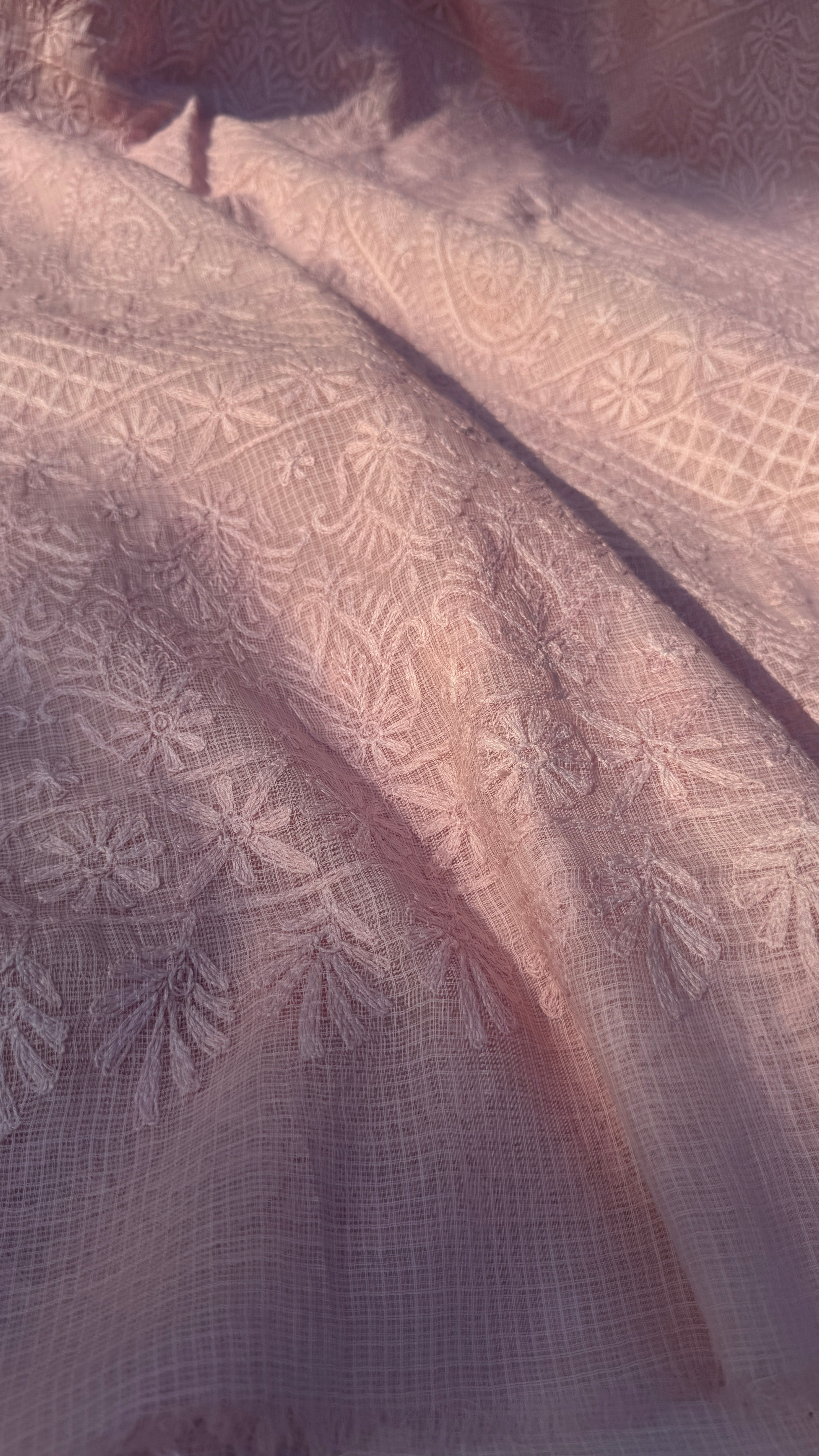 Kota Chikankari saree in Pale Pink