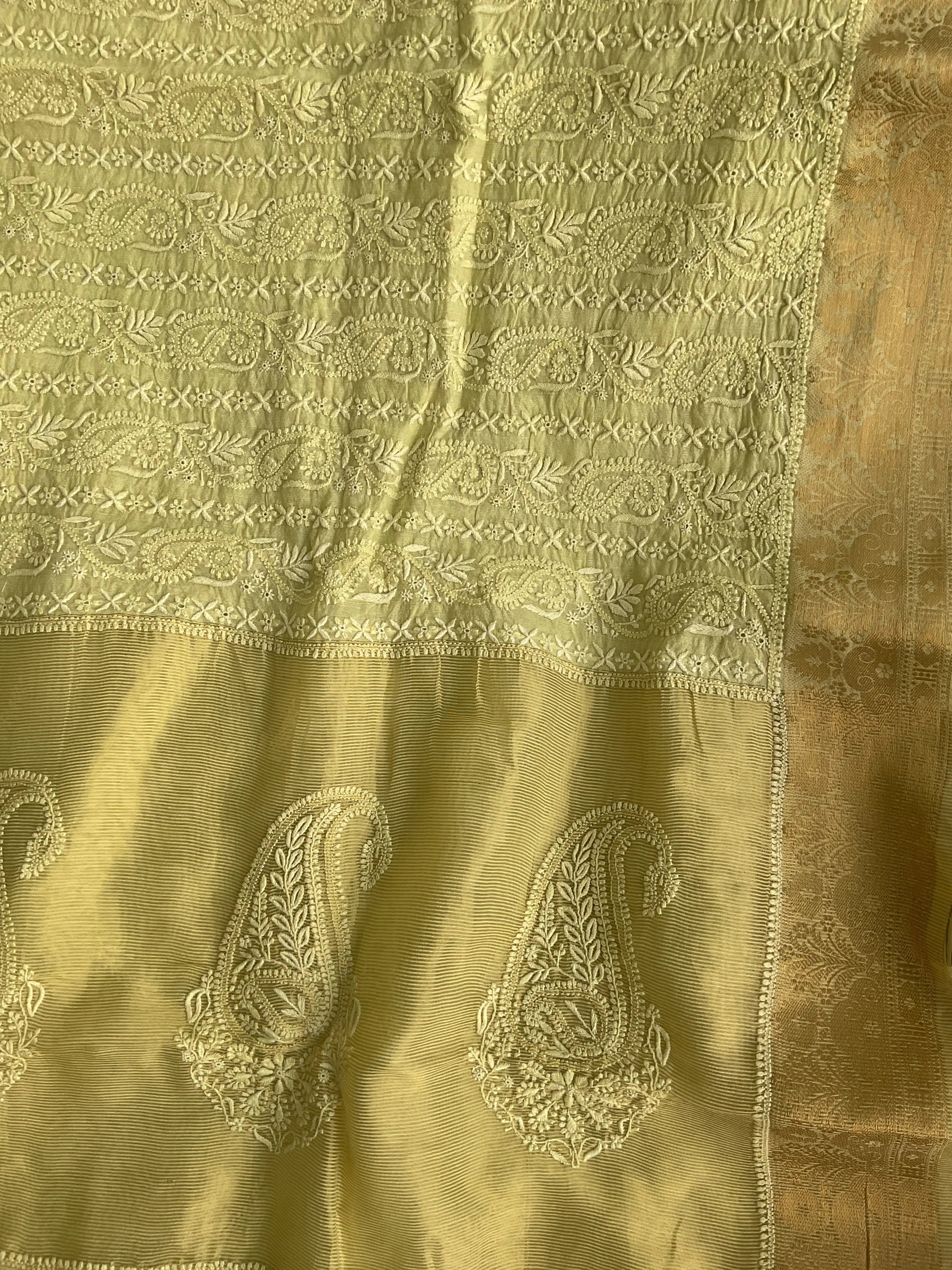 Chanderi Chikankari saree in Light Green ARIAA CHIKANKARI 