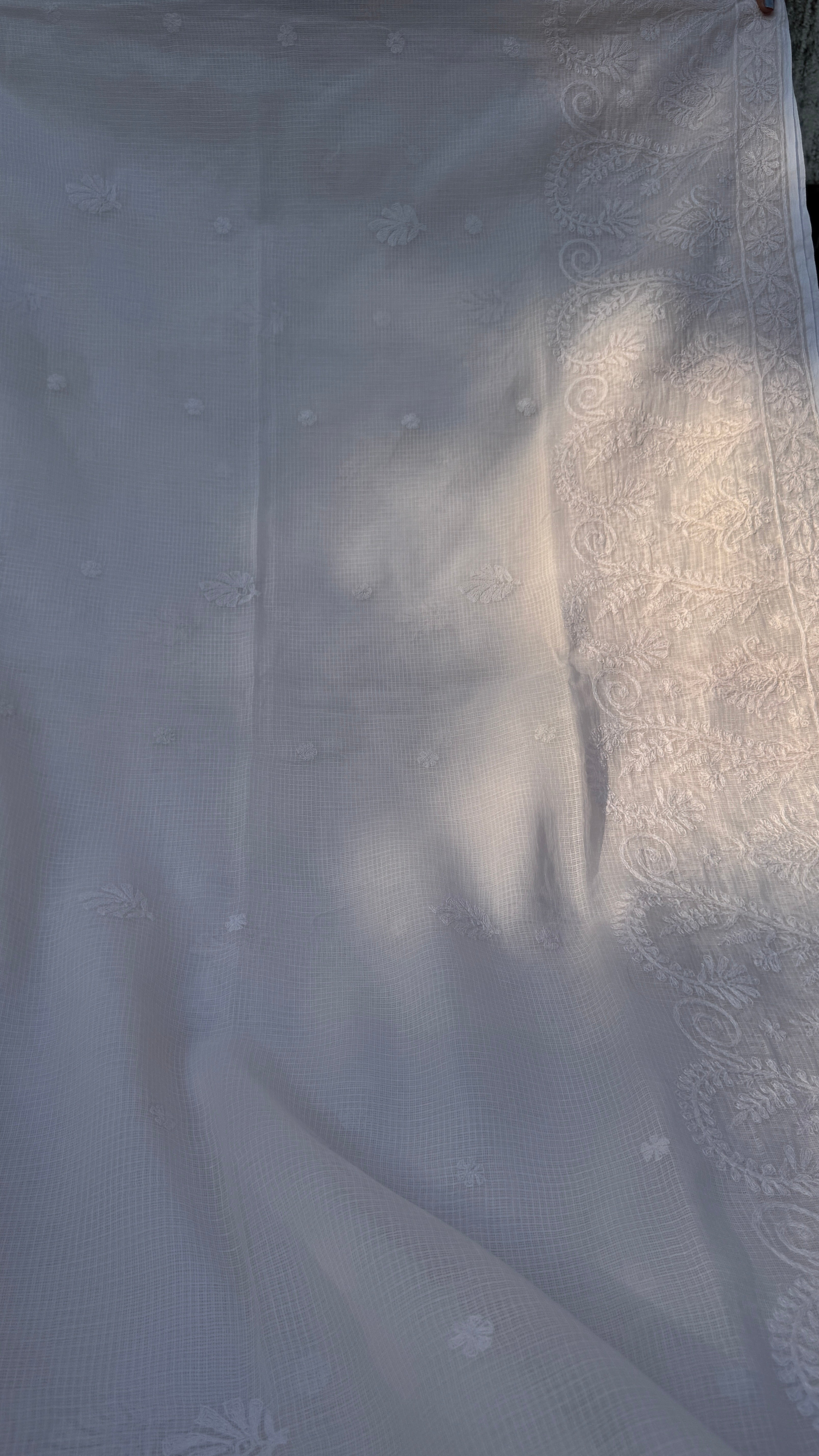 Kota Chikankari saree in Pale Pink